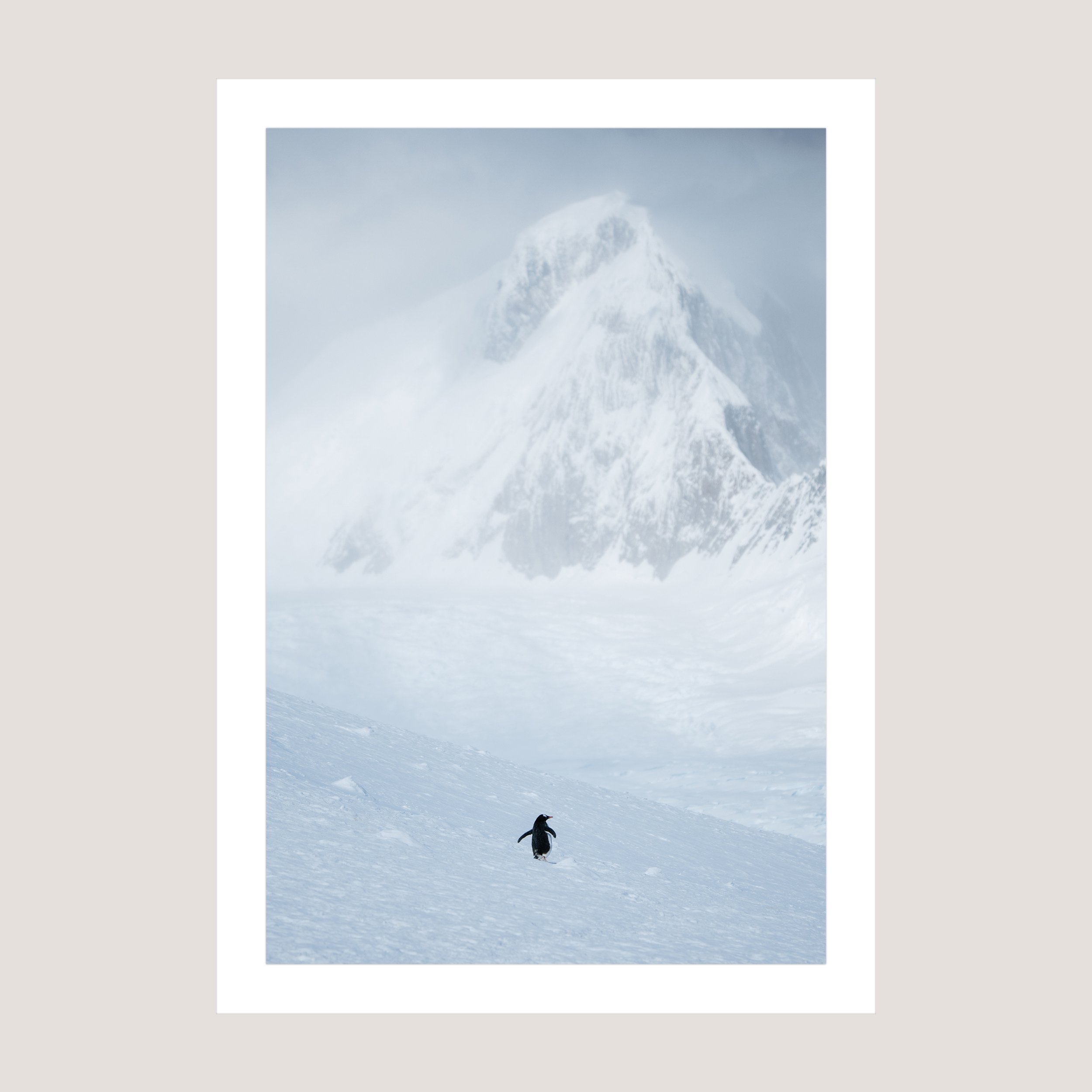 LonelyGentoo_Print_only_1x1.jpg