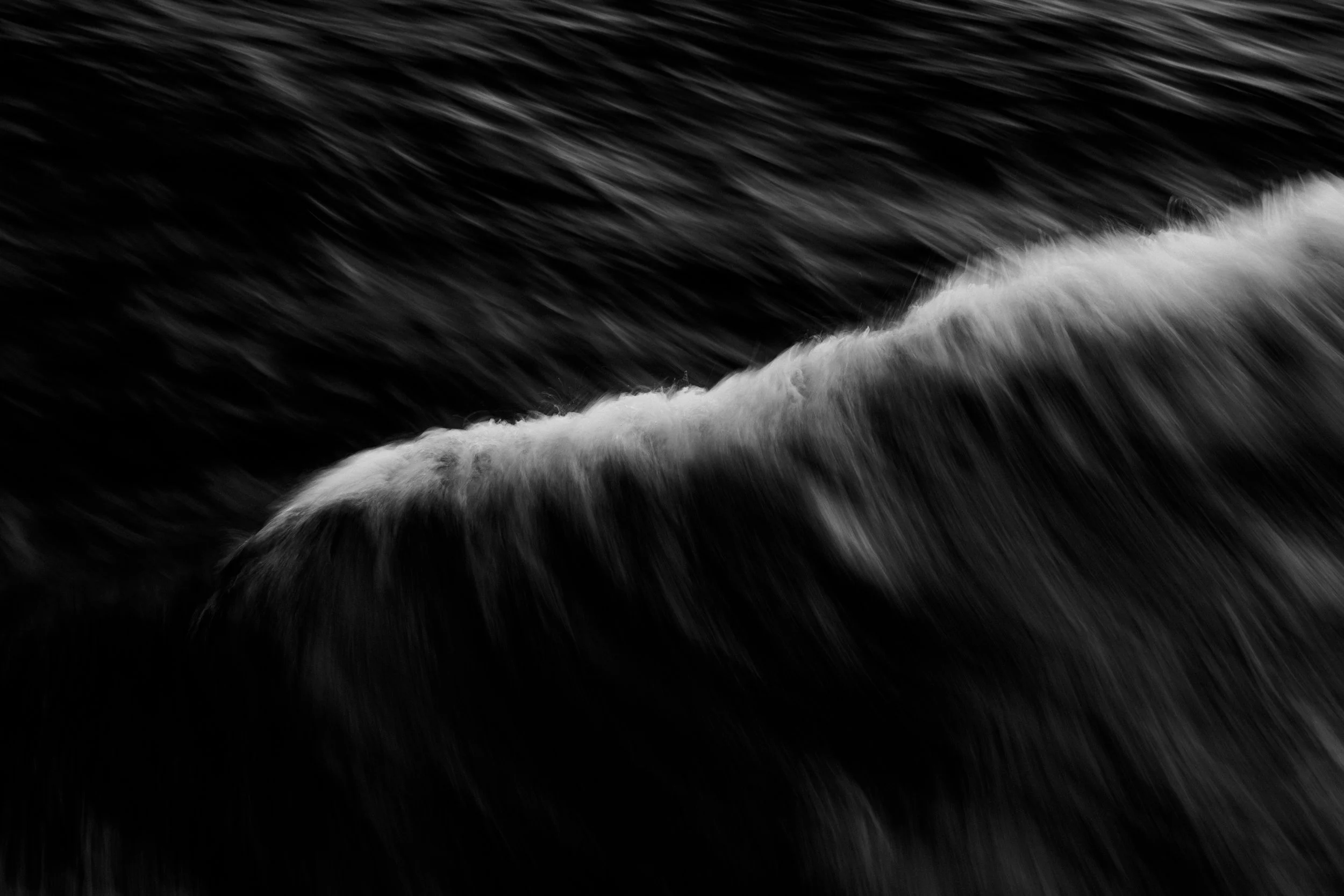 251025_TS1_1540.jpg