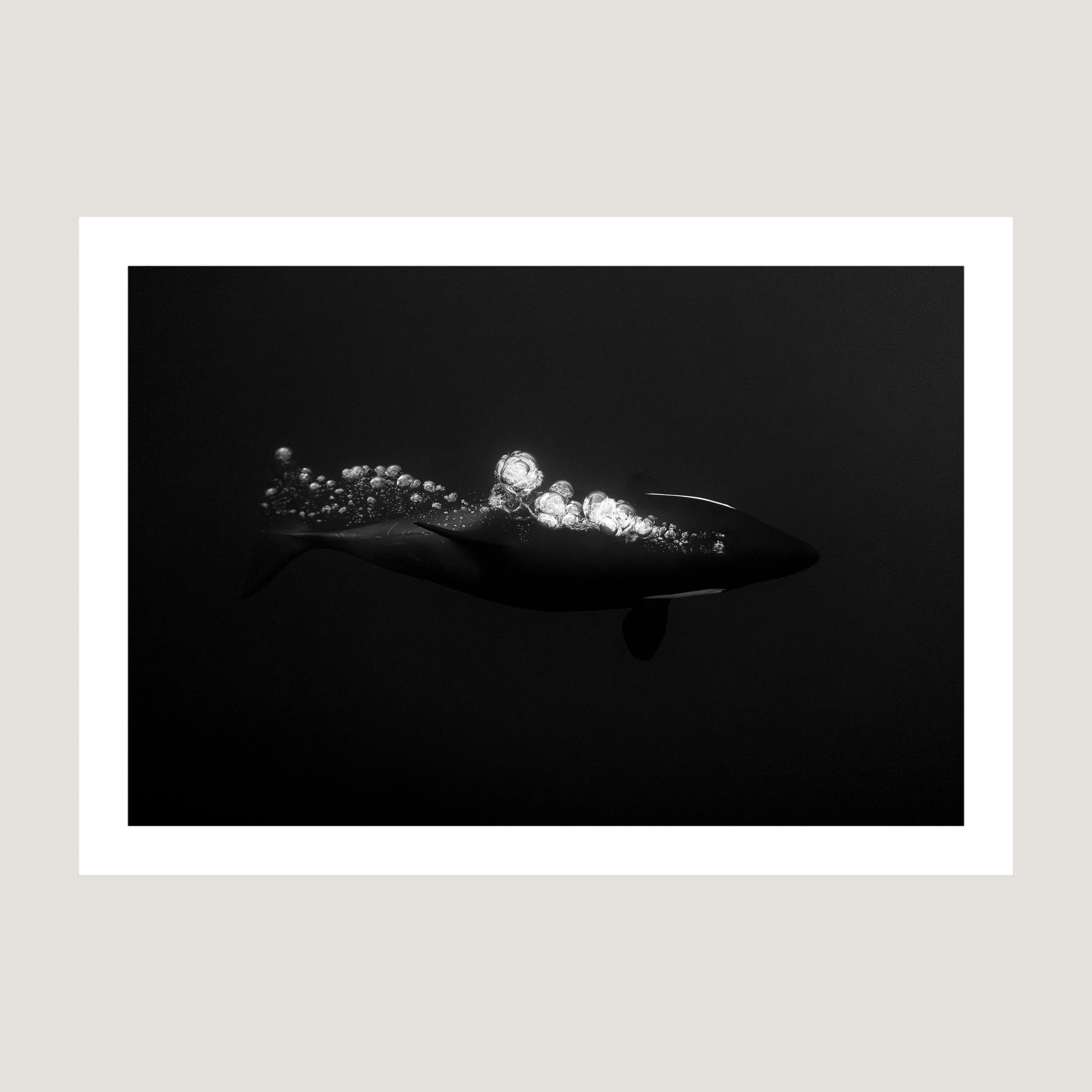 BubbleBaby_Print_only_1x1.jpg