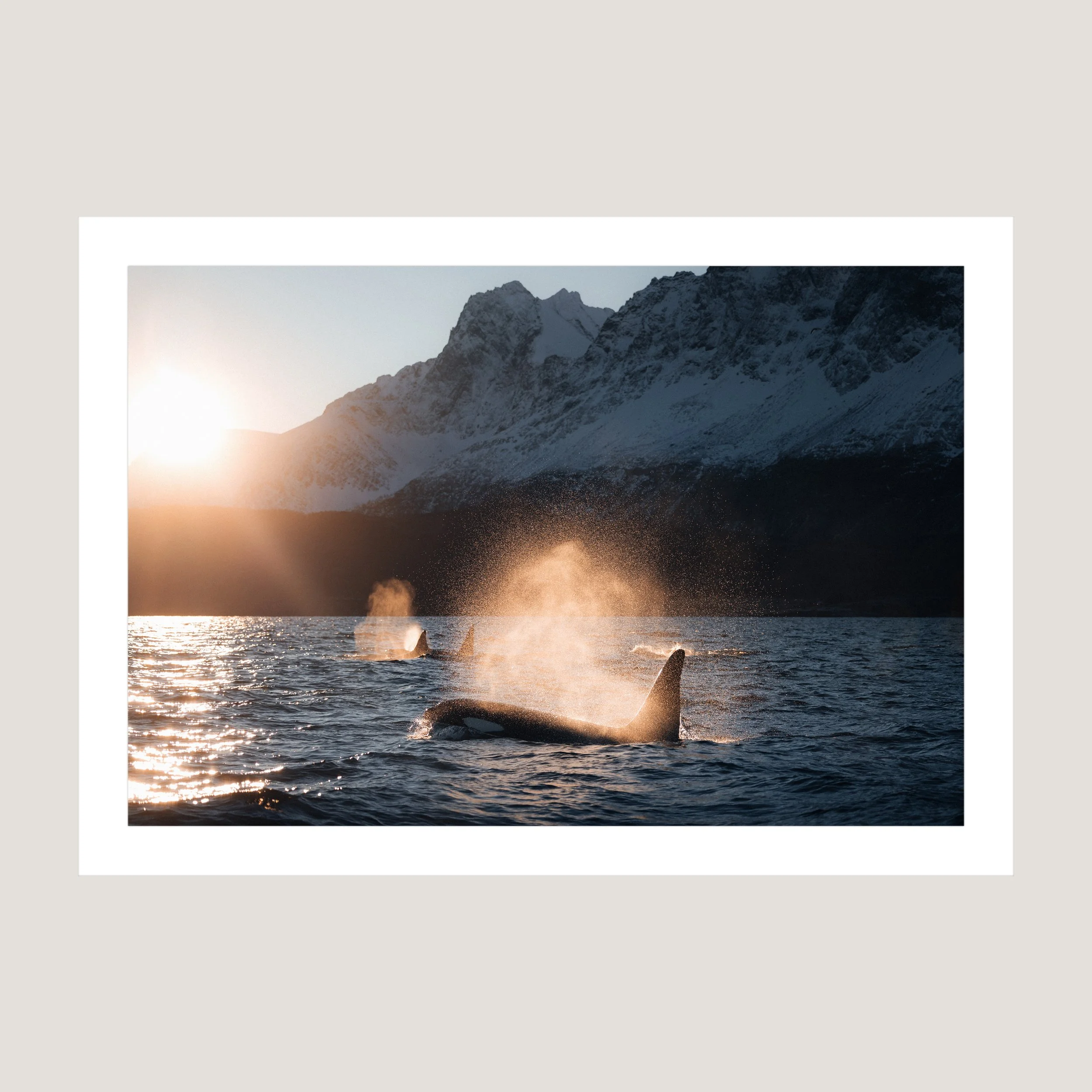 NorthOfTheSun_Print_only_1x1.jpg