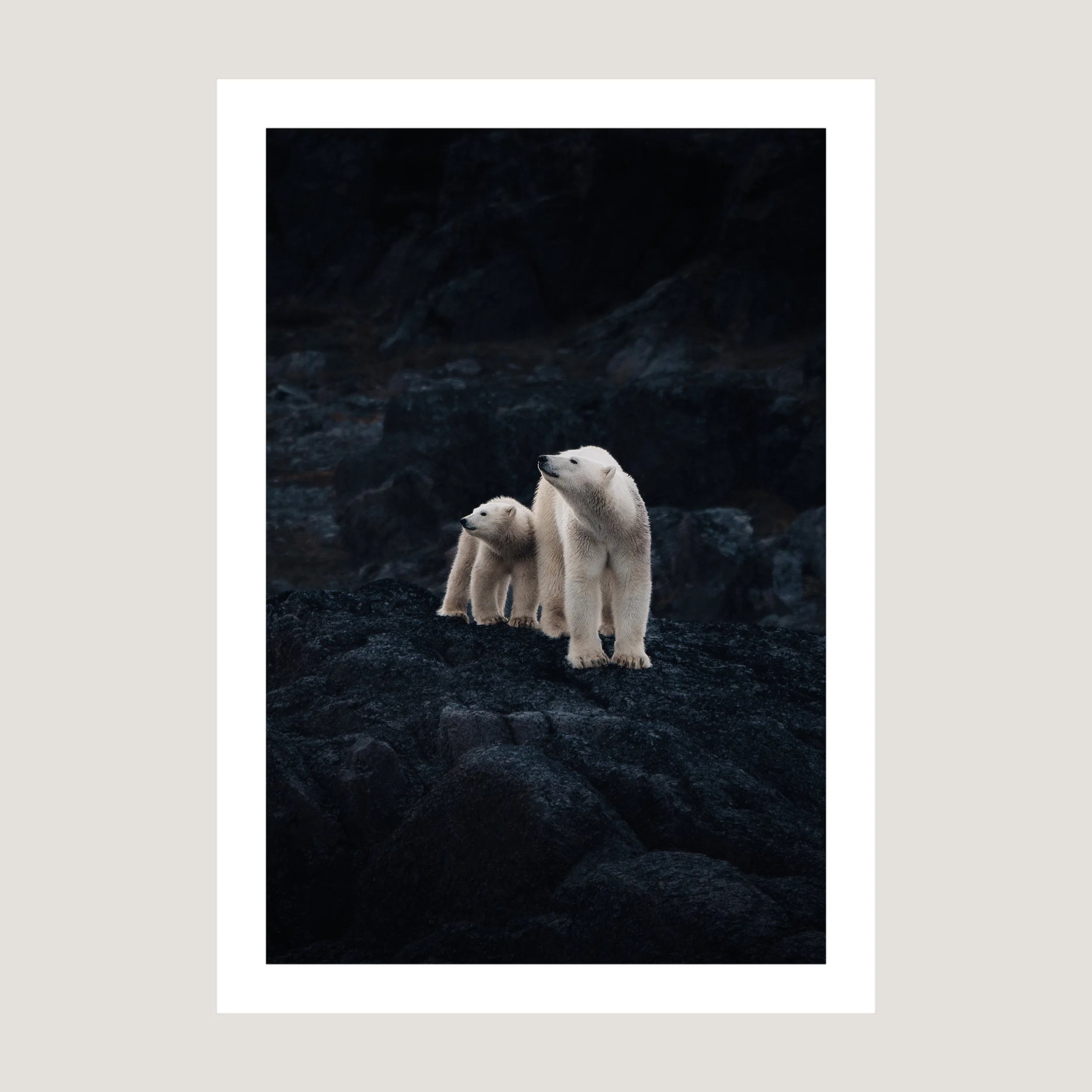 SideBySide_Print_only_1x1.jpg
