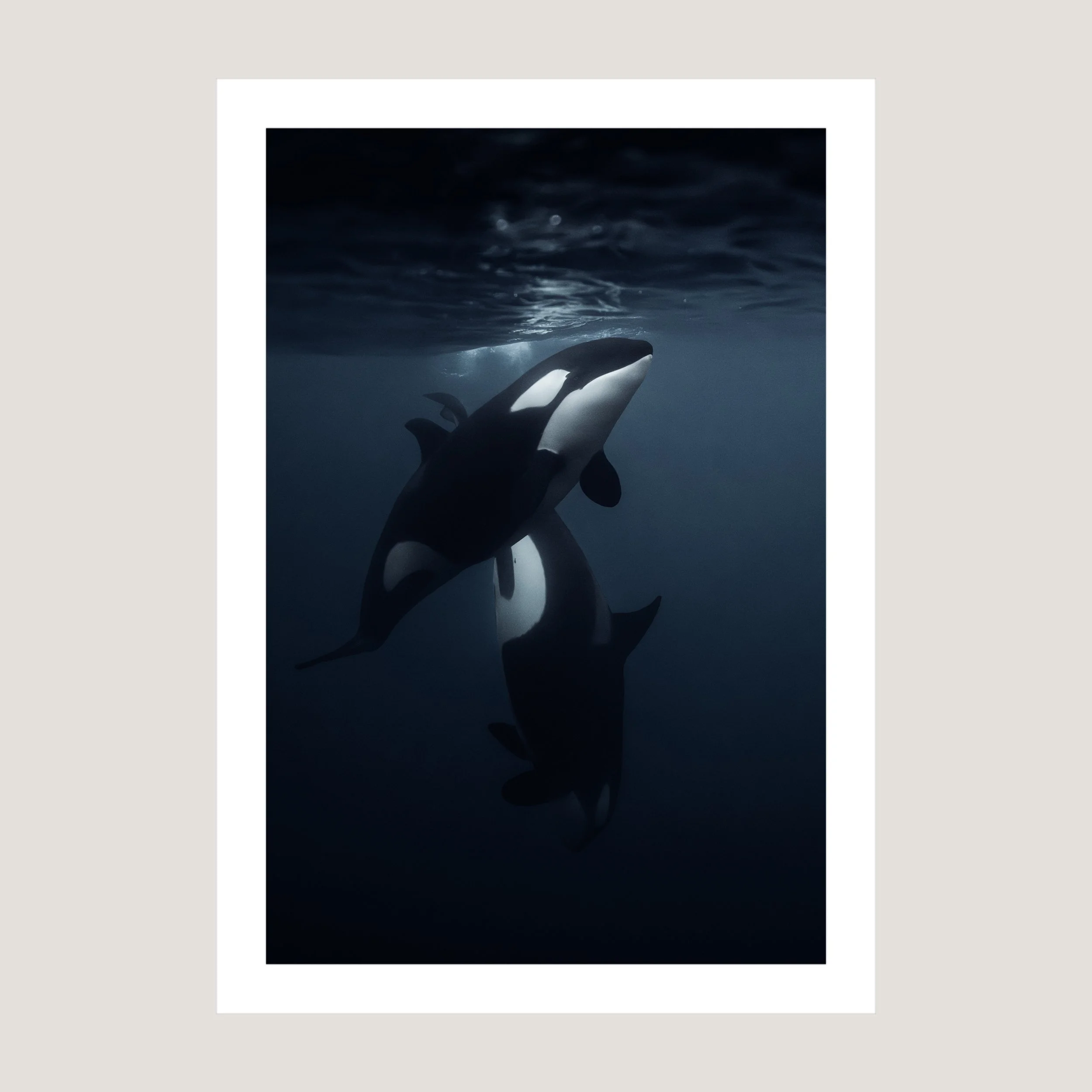 Childhood_Print_only_1x1.jpg