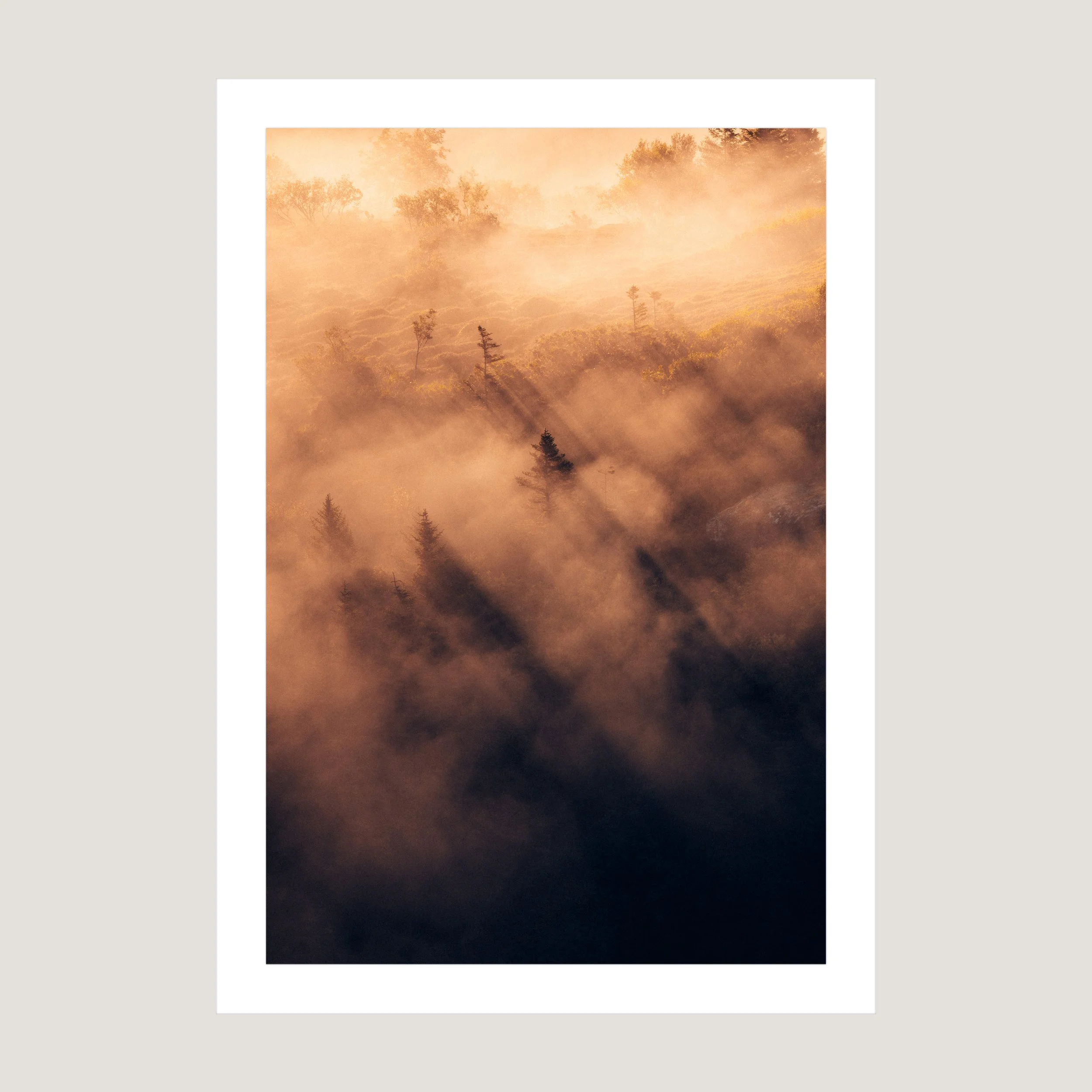 Solitude_Print_only_1x1.jpg