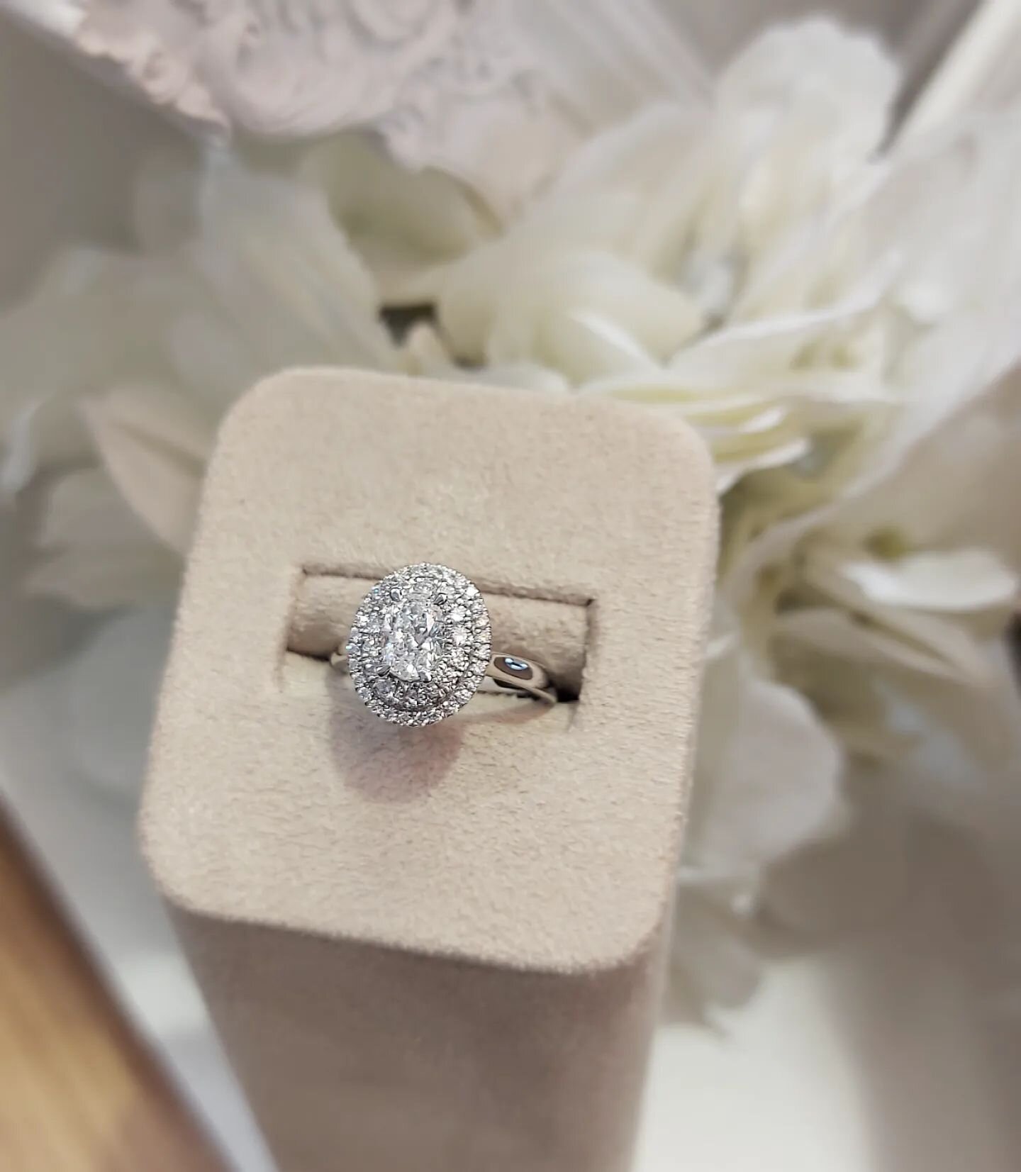 Beautiful oval cut diamond ring surrounded by a double diamond halo 💍
.
.
.
.
.
#cartersjewellers #lovediamonds #lovejewellery #bespokejewellery #engagementrings #jewellersofbolton #marketplacebolton #weddingjewellery