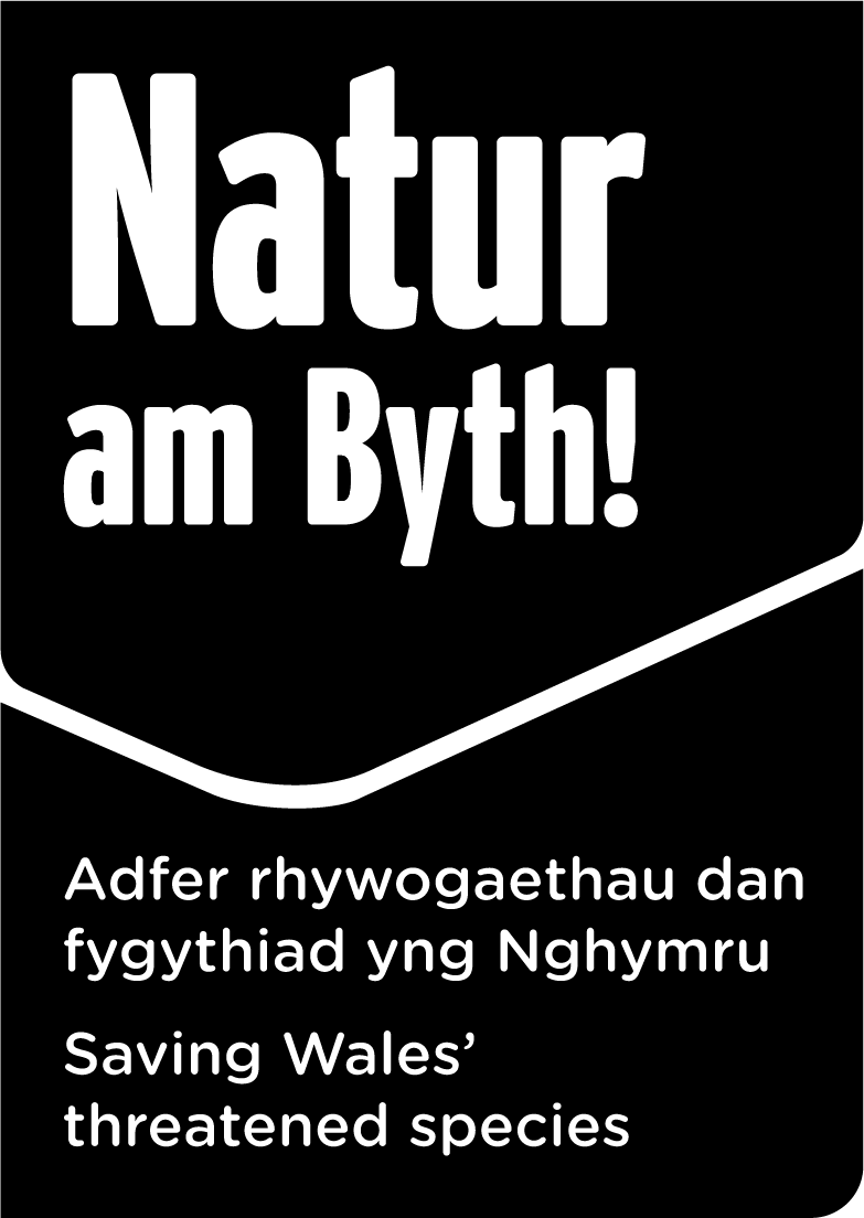 Natur am Byth!_main logo_bw.png