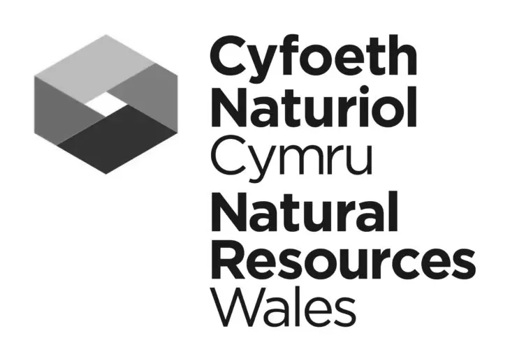 Natural-Resources-Wales_logo_CMYK_stack-730x517.webp