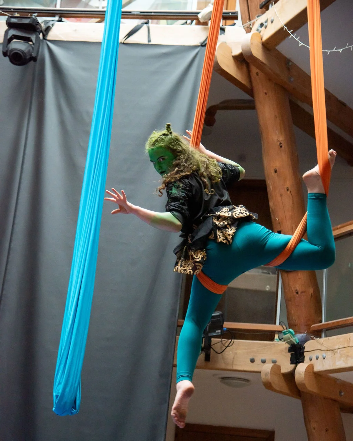 Circus Cabaret Fundraiser