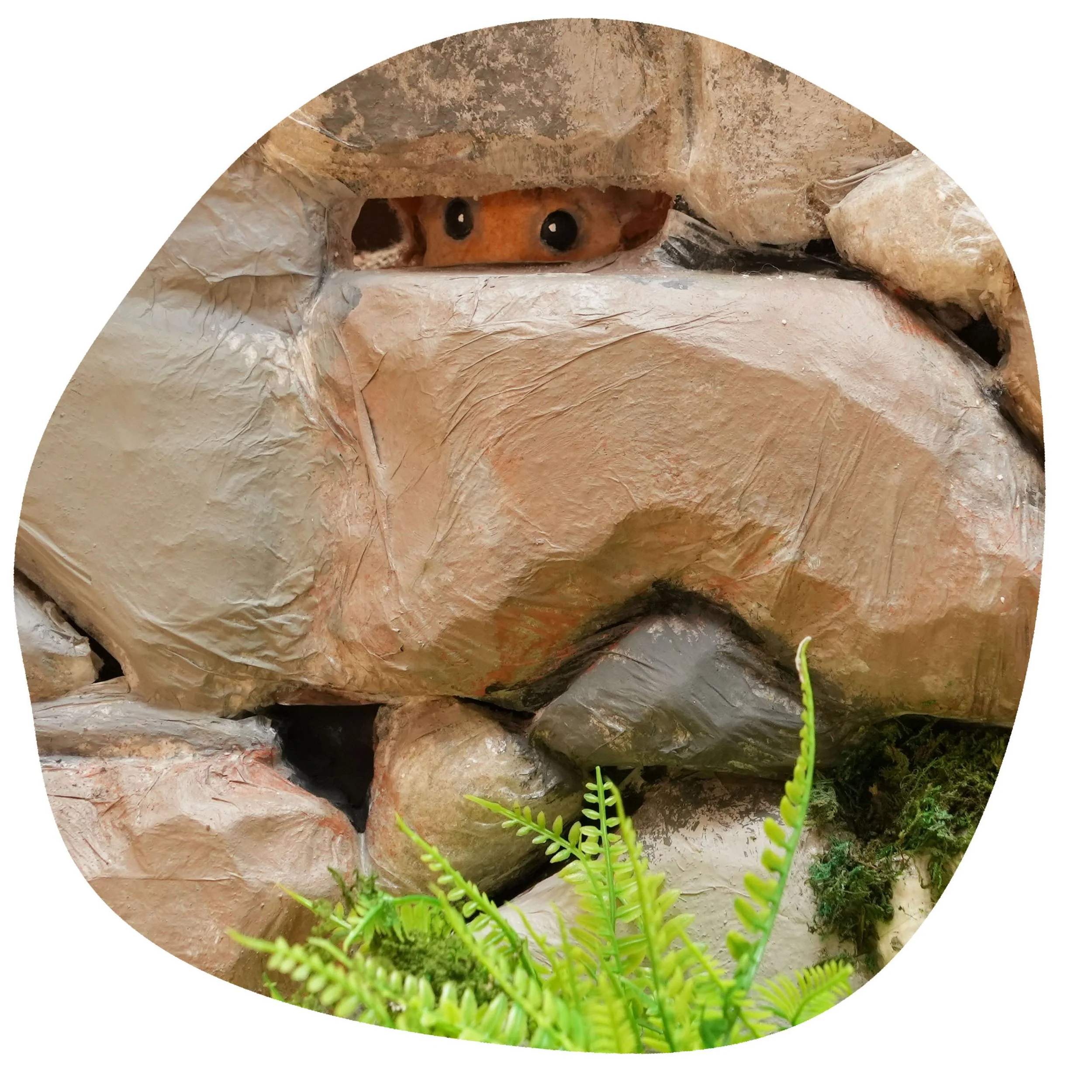 Doormouse_shape_2.jpg