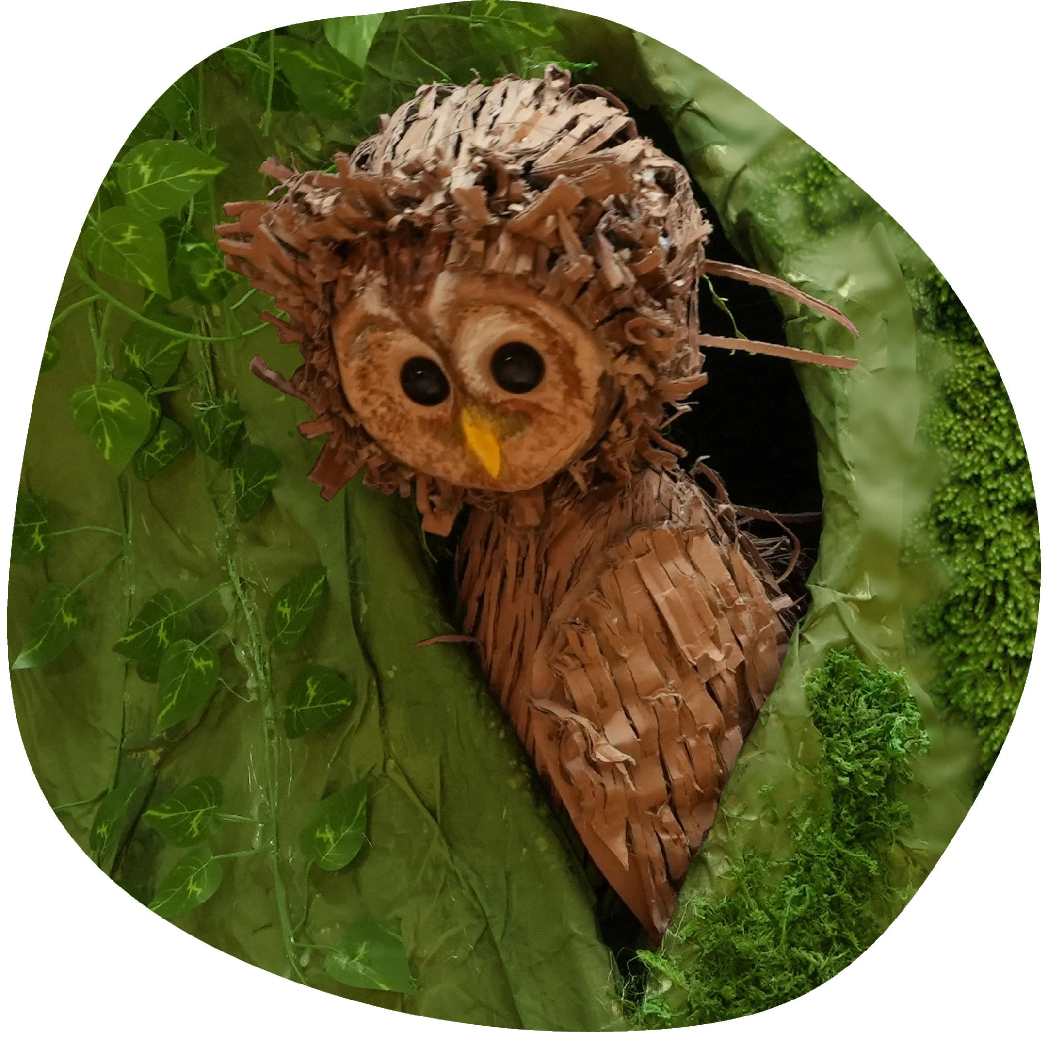 Pleth_owl_shape.jpg