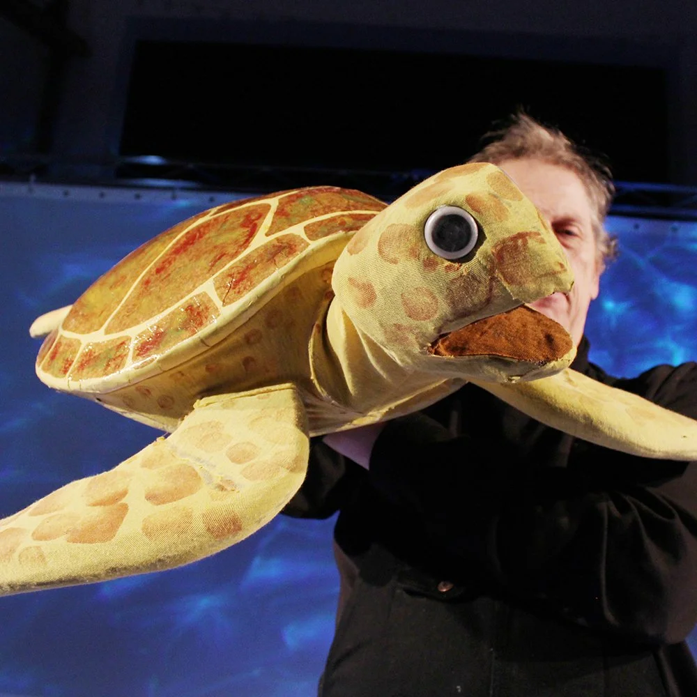 LightningPath_Turtle.jpg