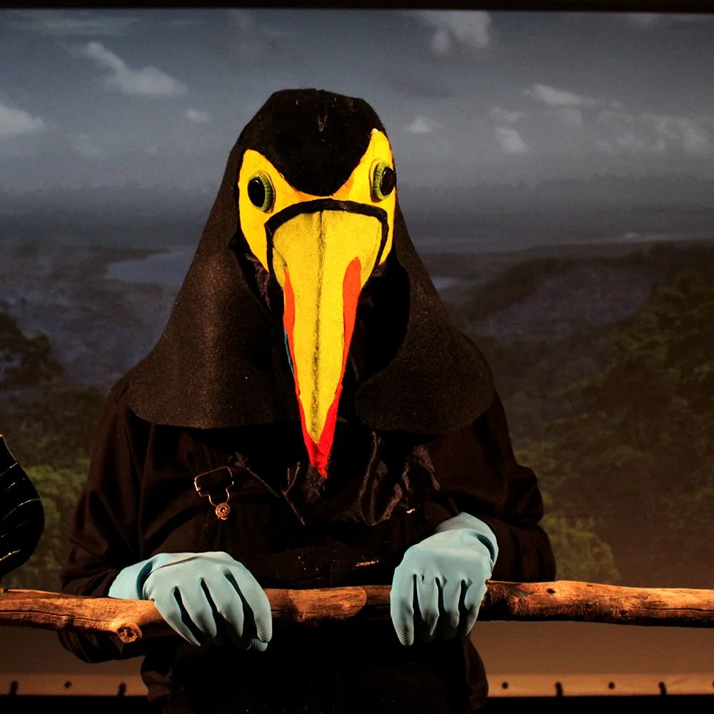 LightningPath_Toucan.jpg