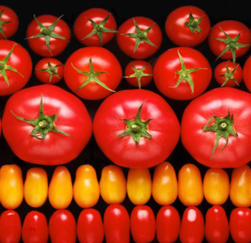 PRINT PORTFOLIO_M&S_18.jpg