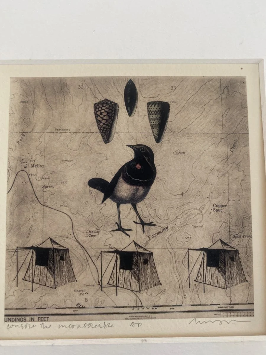 Shell, bird, tent, 14 x 14in, $800