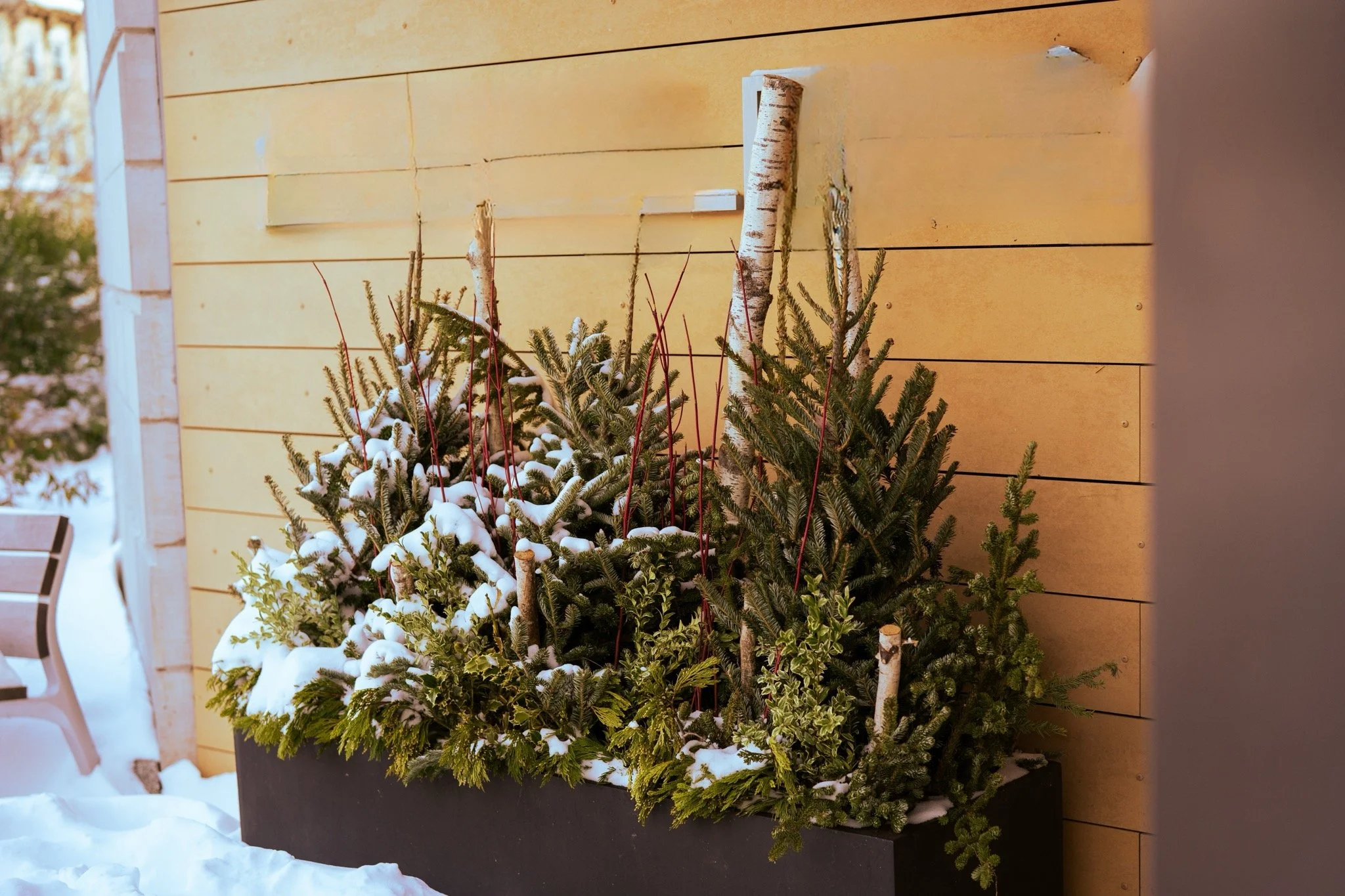 ❄️ Winter Maintenance Checklist: Salt, Slush, and Floor Protection