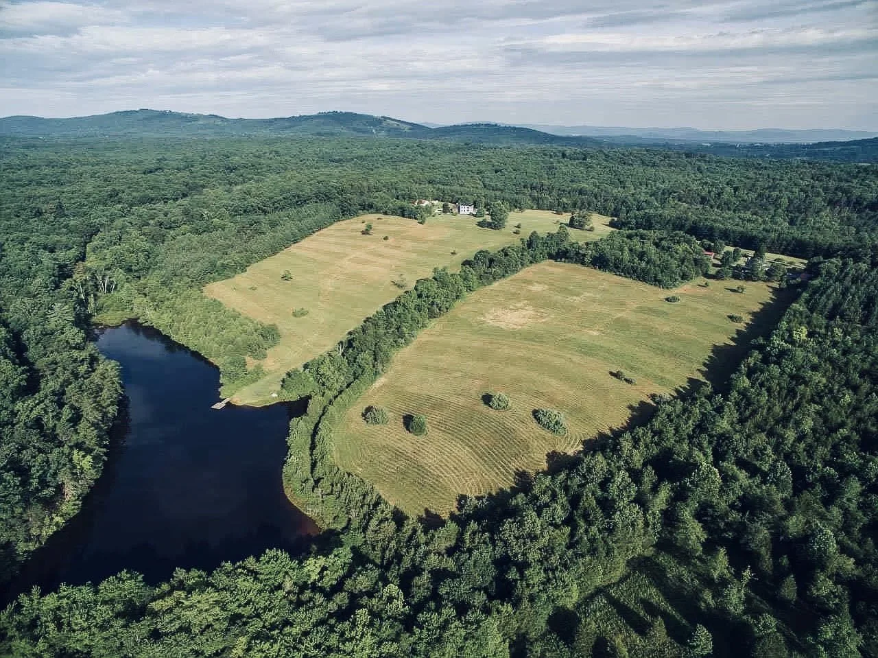 Thistlerock Mead Co.
