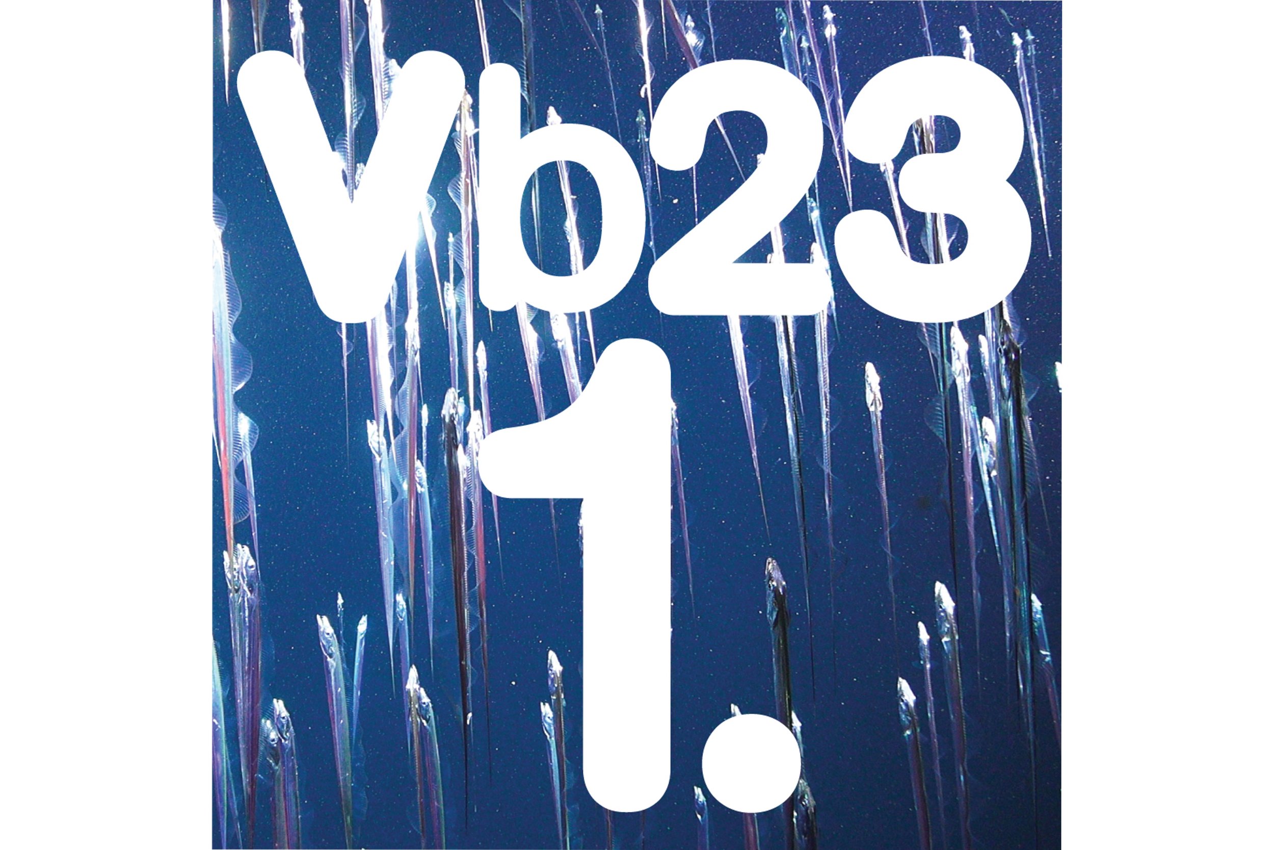 1st Vilnius Biennial of Performance Art