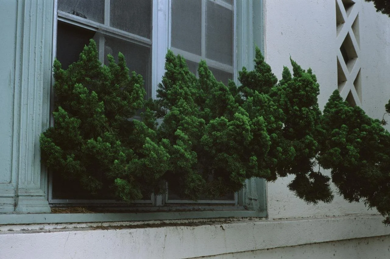 Ascension: Matthew Smith. Curated by Camilla Boemio