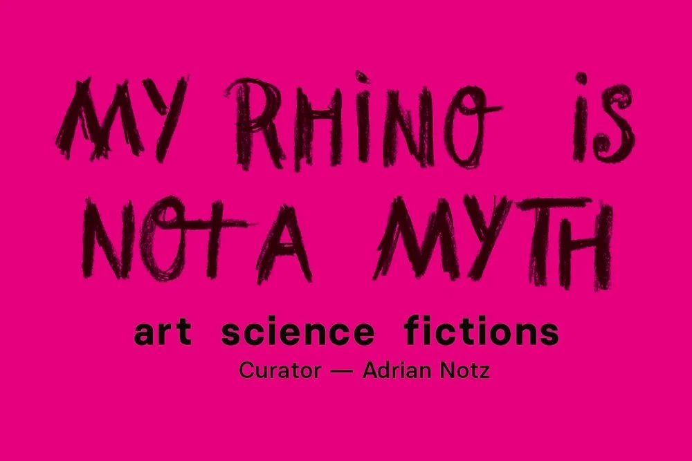 Art Encounters Biennial: My Rhino is Not a Myth