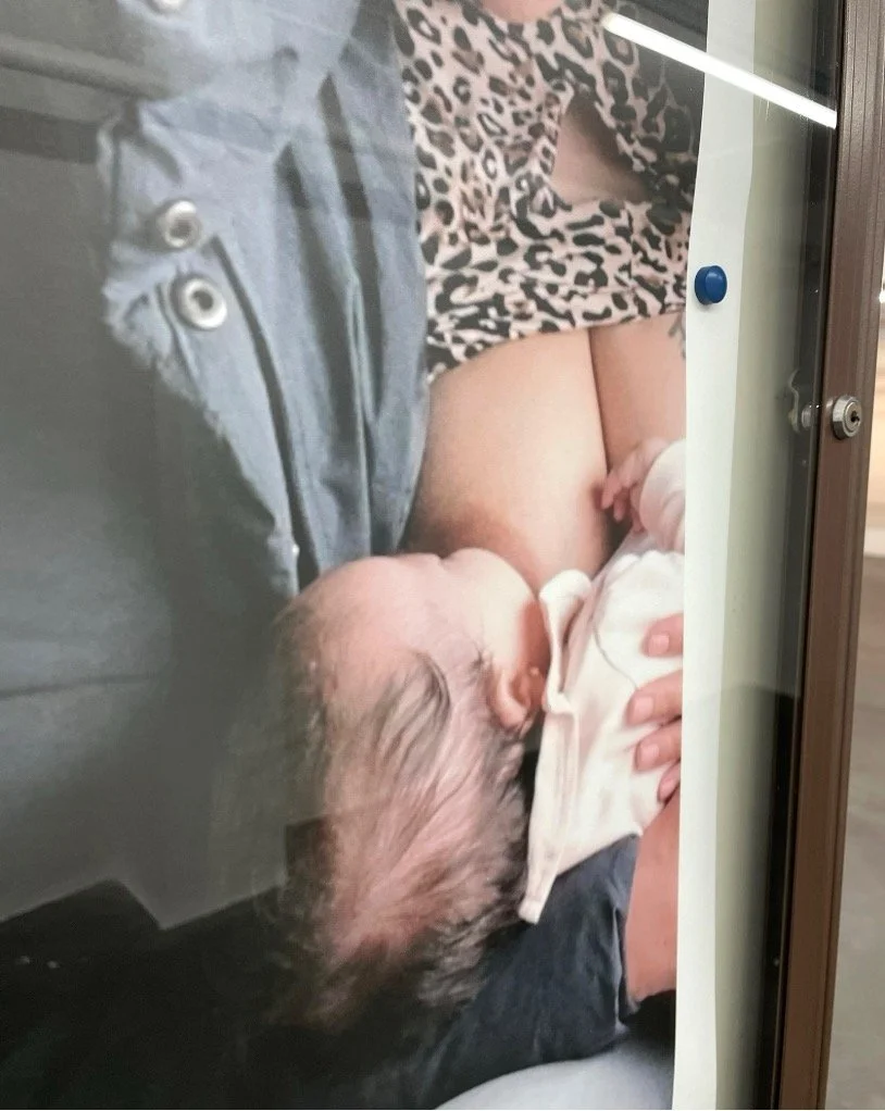  Exhibition view&nbsp; Lactating Bodies&nbsp;20251031-0201 , 2025  ©Joost Joossen / We Document Art 