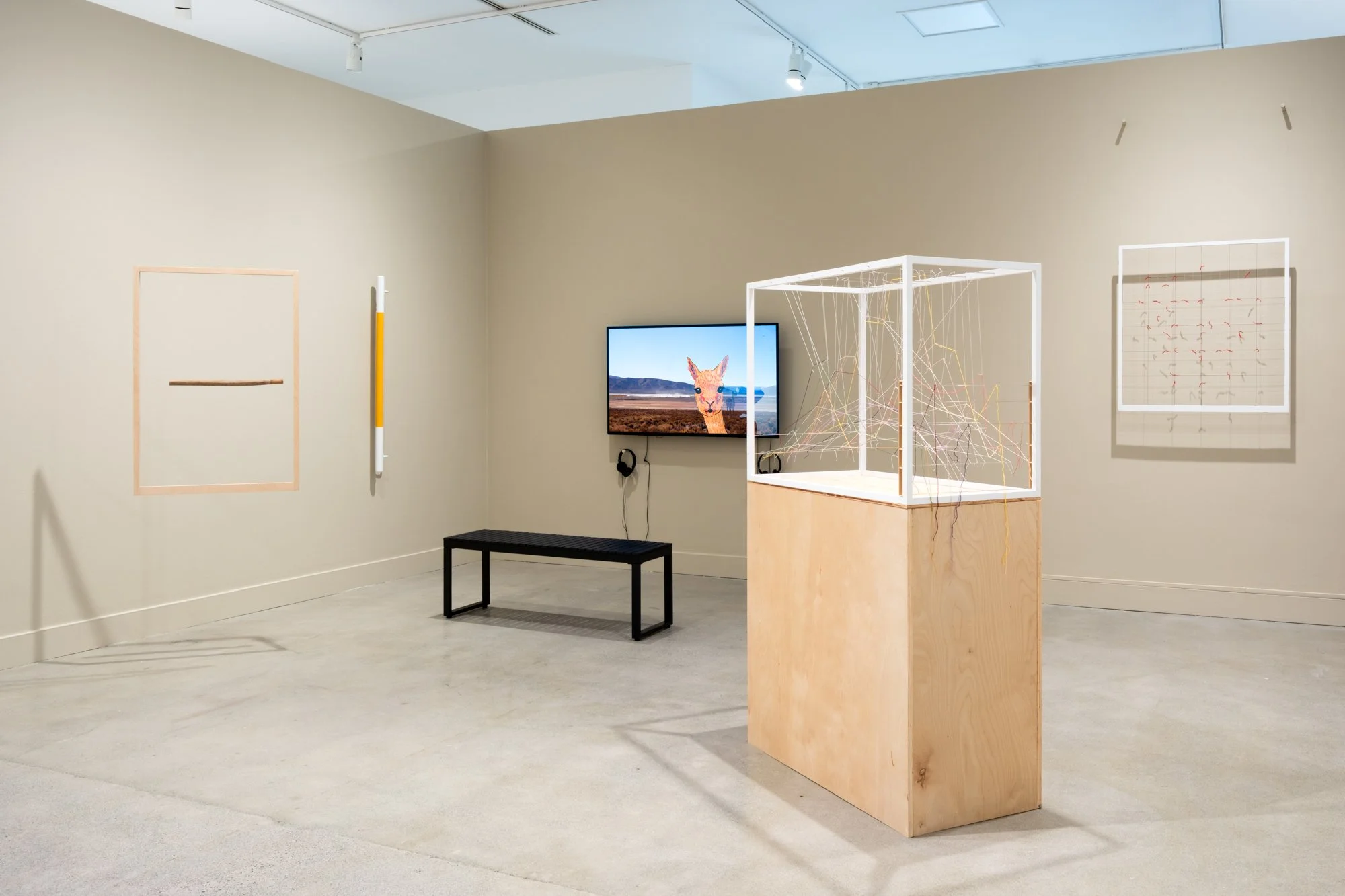  Partial view of Richard Ibghy and Marilou Lemmens’s&nbsp;exhibition An Animated Assembly, 2026, Nanaimo Art Gallery, Nanaimo, BC, Canada. Photo: H&amp;S. 