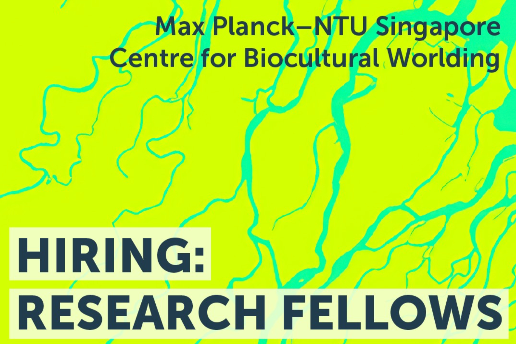 Curatorial Research and Practice Fellowships