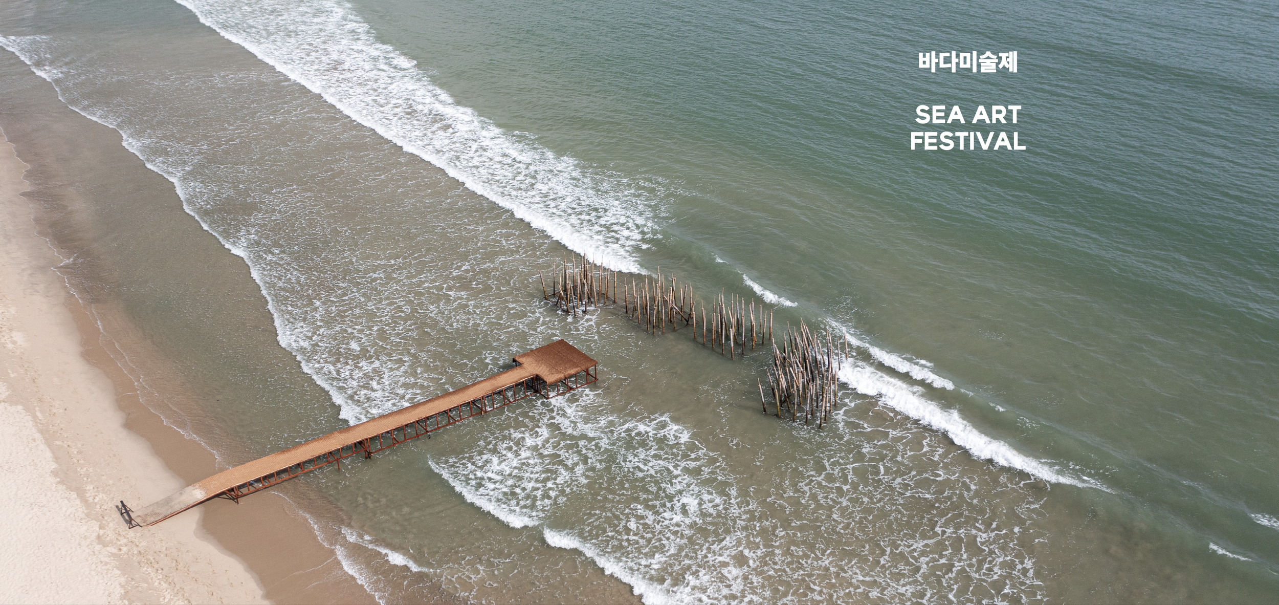 Artistic Director, Sea Art Festival 2027, Busan, South Korea