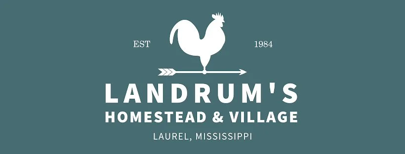 Landrum’s 42nd Annual Christmas at the Village