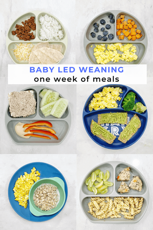Baby Led Weaning Meal Ideas for the 1st Year - New Darlings
