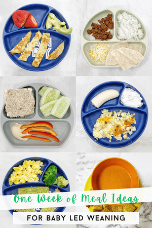 One Week of Delicious Baby Led Weaning Meal Ideas - Simple and ...