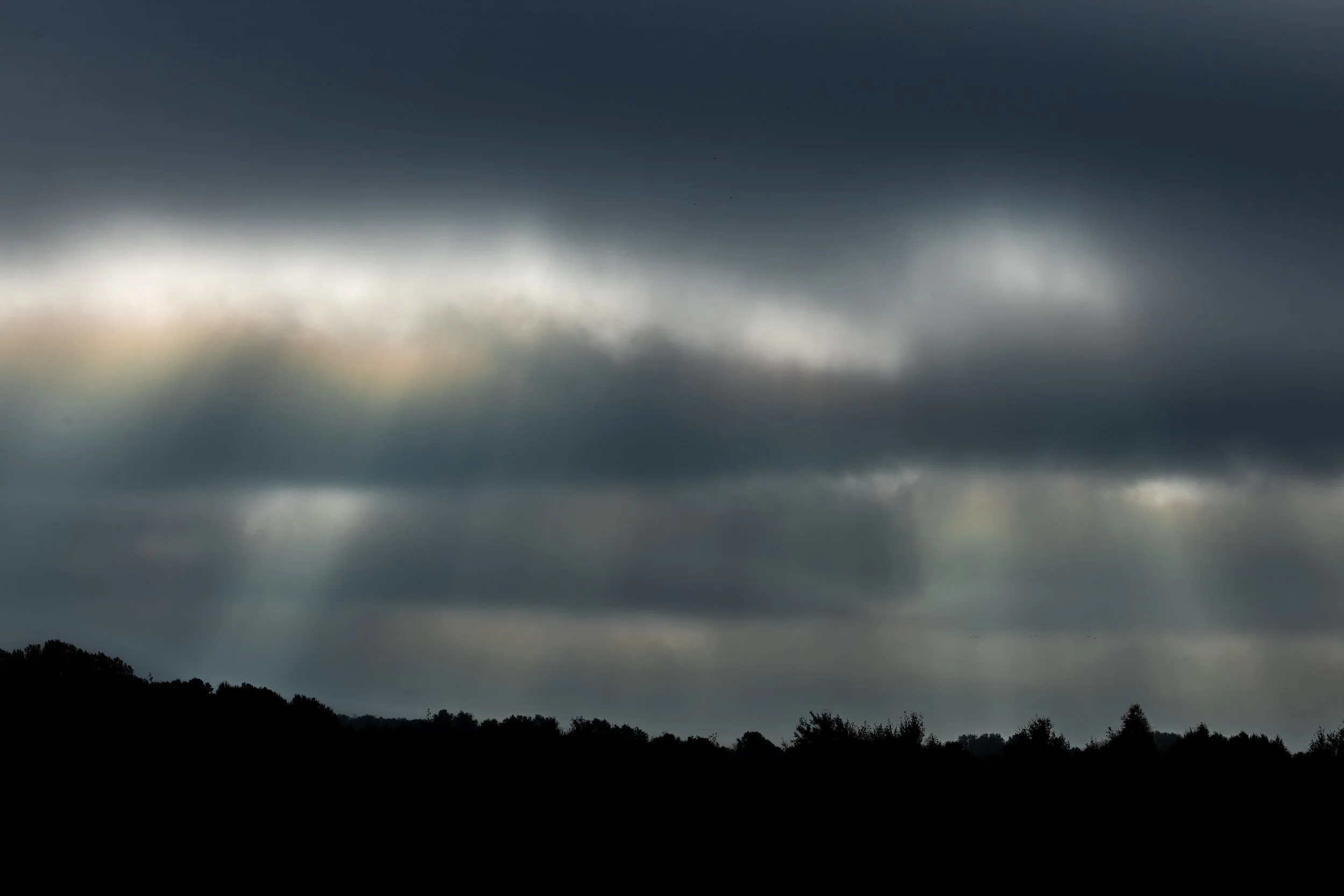 R6II1277.jpg