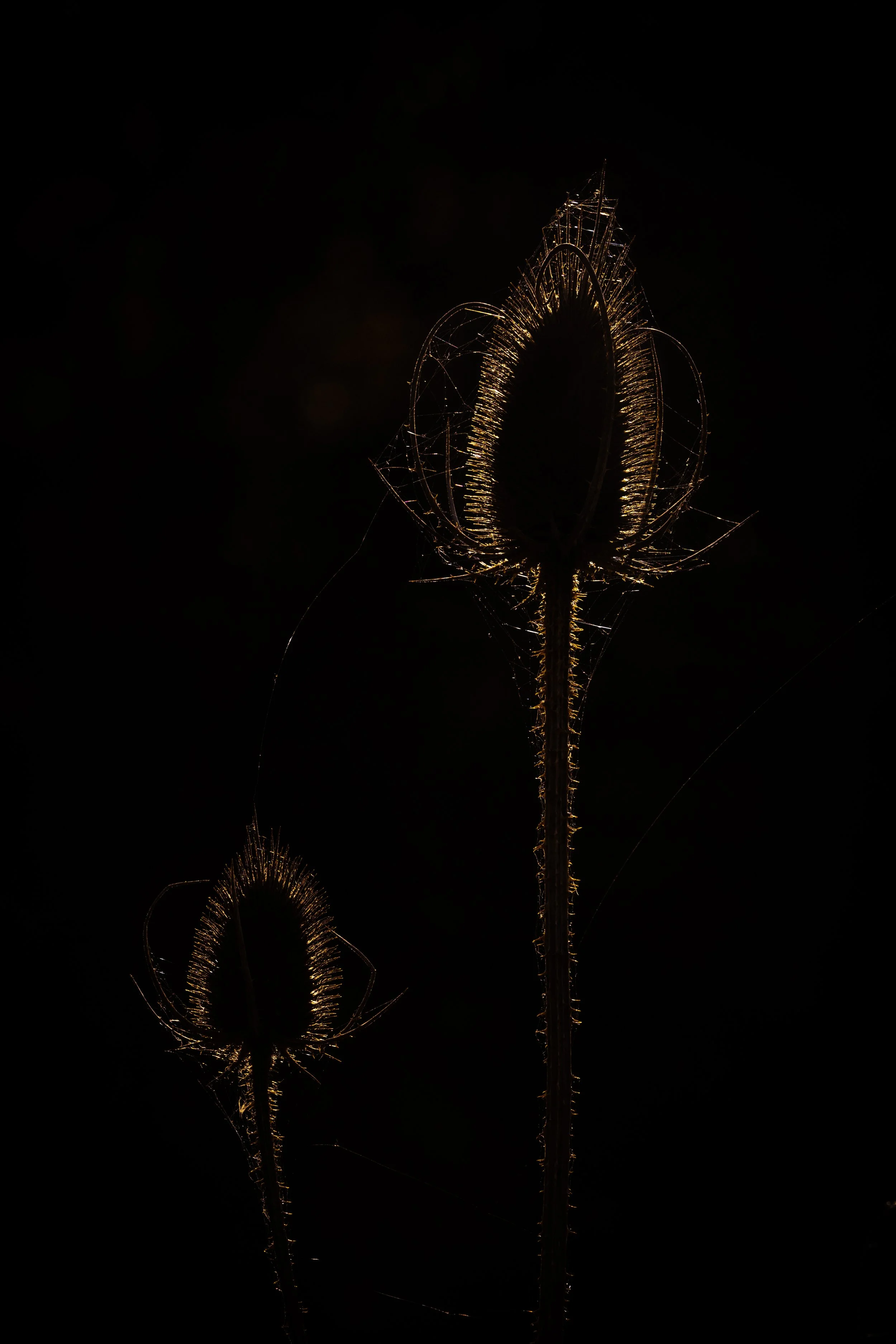 R6II1805.jpg