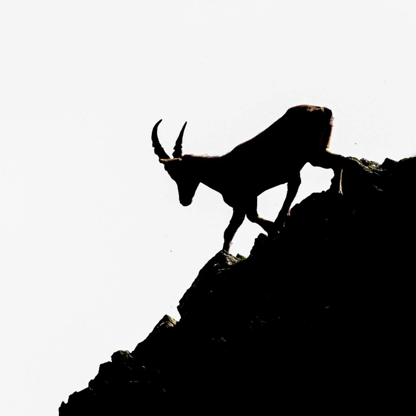 Eine ganz besondere &Uuml;berraschung d&uuml;rfen wir heute mit euch teilen. Im Juli erwartet euch der Bergsommer im Nationalpark. 🏔️

Neugierig? Schaut mal auf YouTube vorbei. In meinem neusten Video verraten ich euch mehr. 🎬

📅 06.-11. Juli 2026