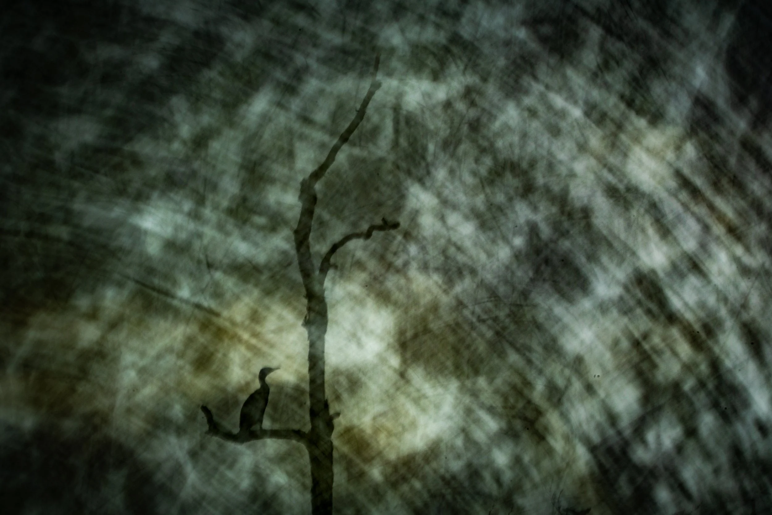 R6II6662.jpg