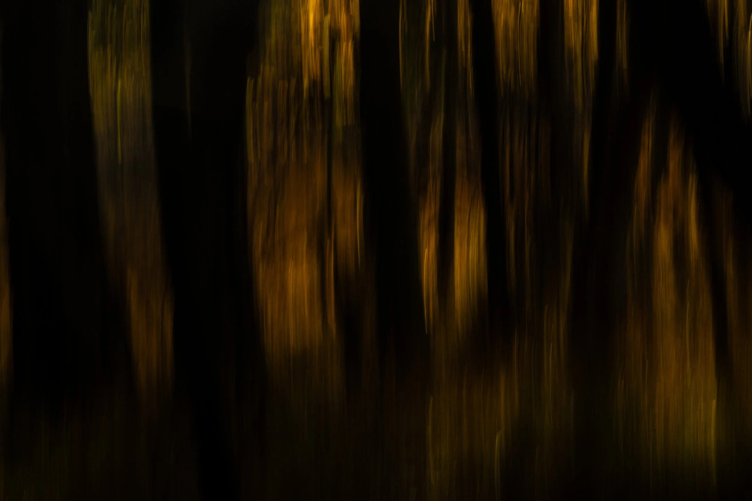 R6II9656.jpg