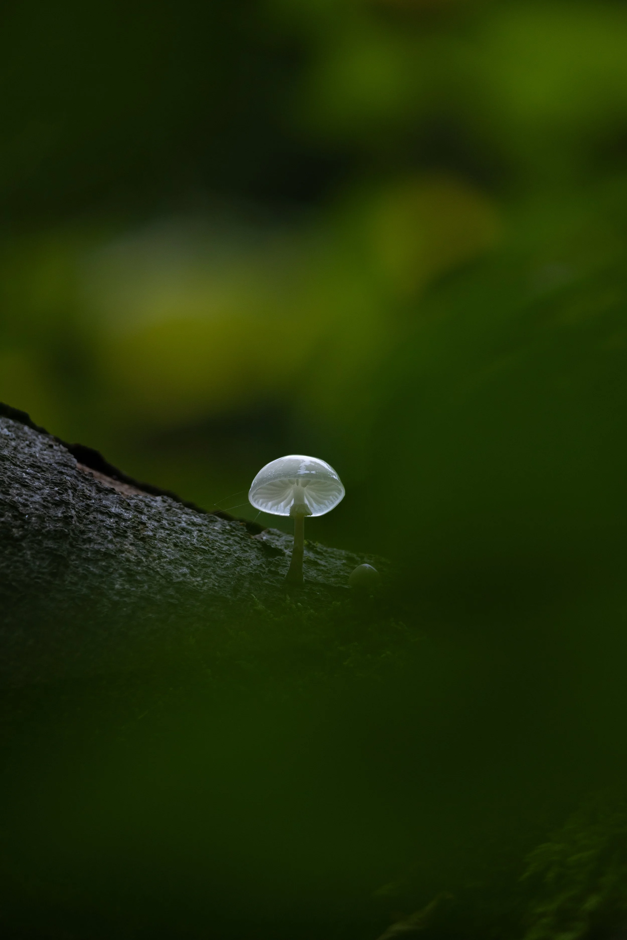 R6II2474.jpg
