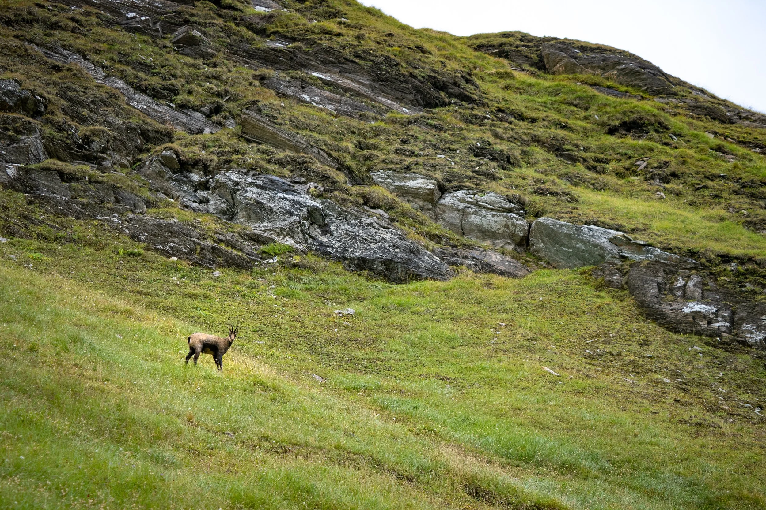 IMG_1587.JPG