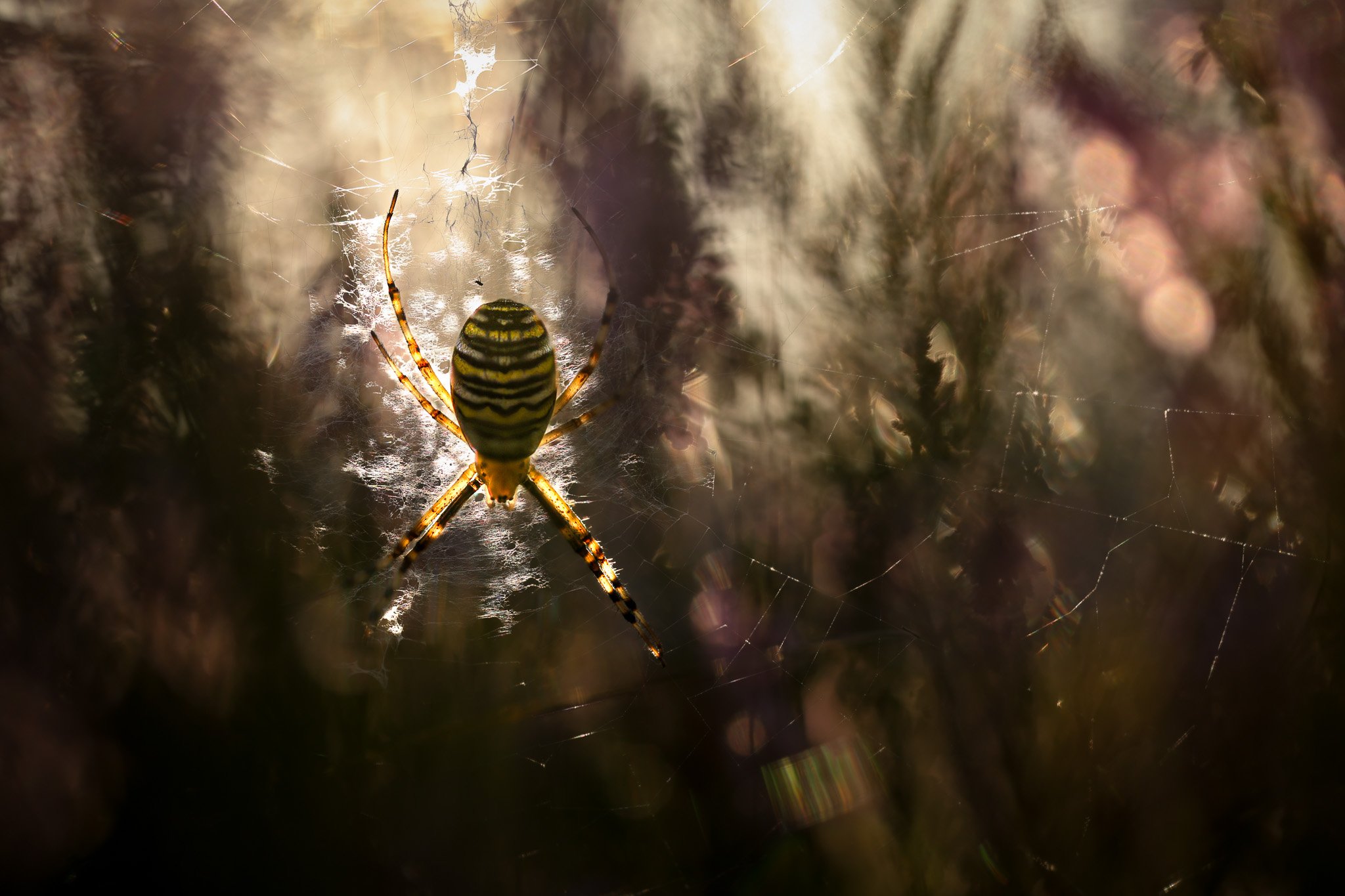 R6II0045.jpg