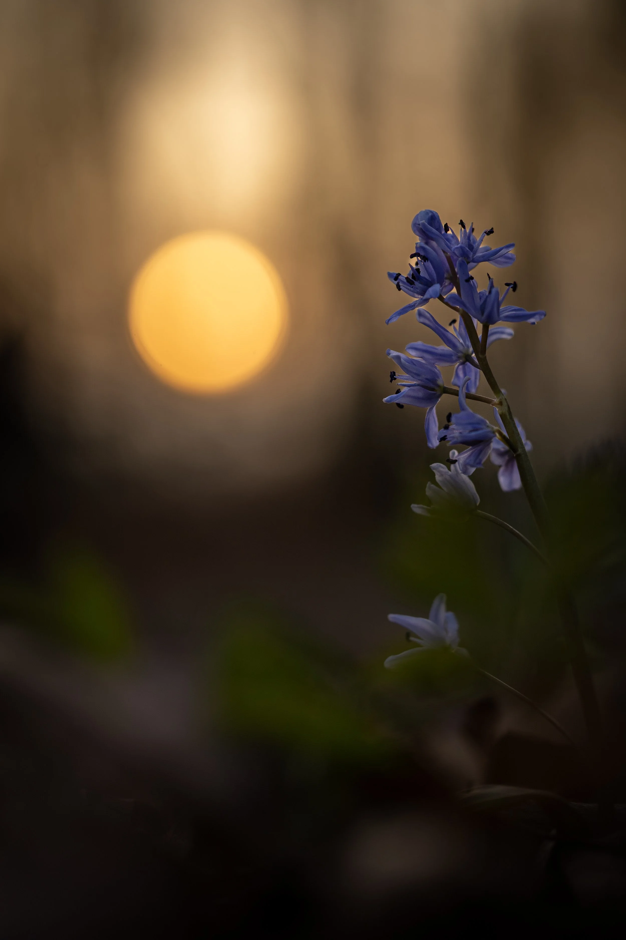 R6II6454.jpg