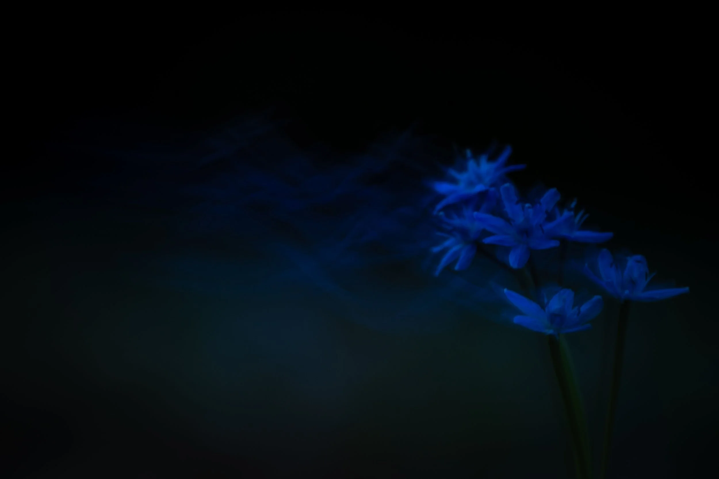 R6II6220.jpg