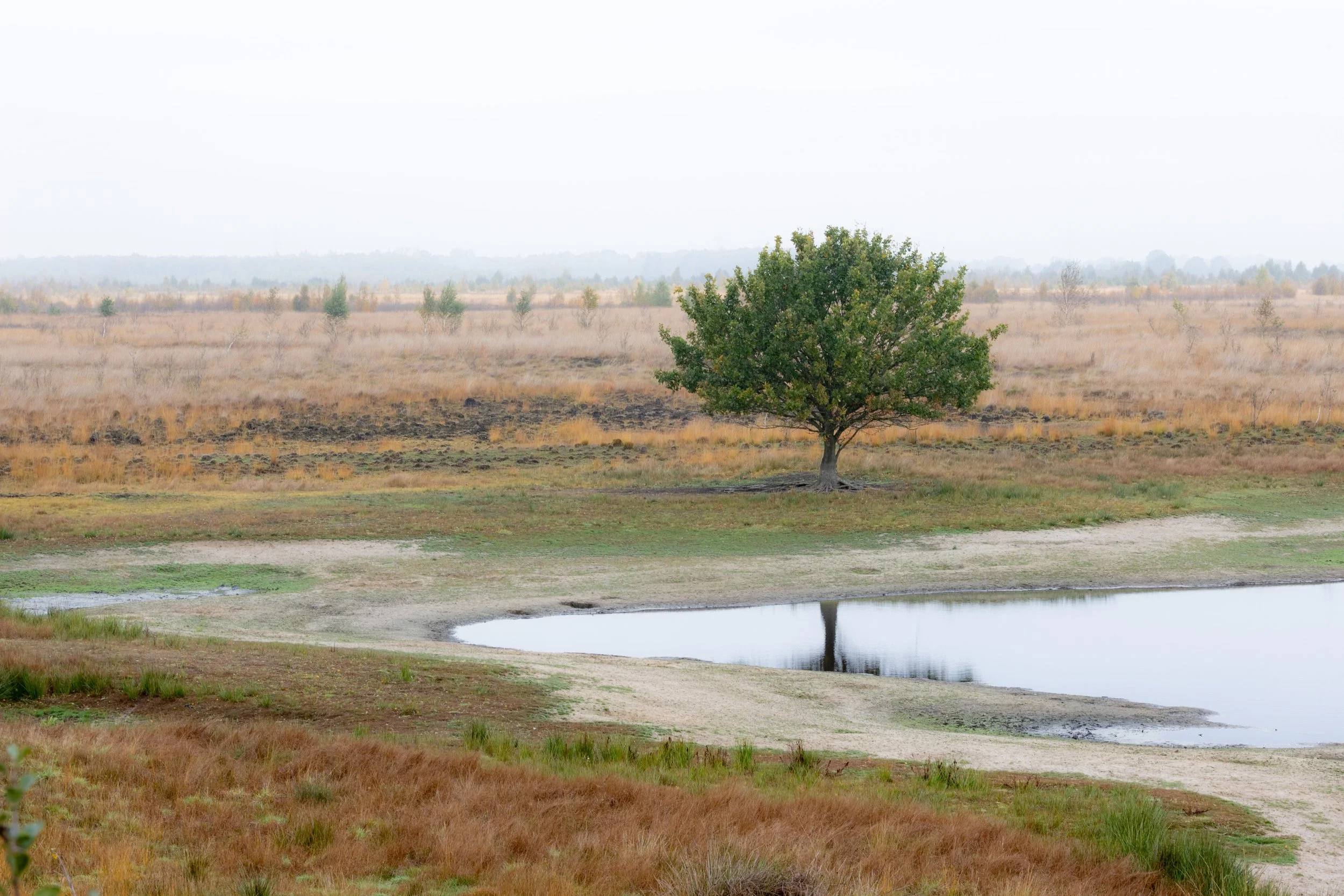 R6II1172.jpg