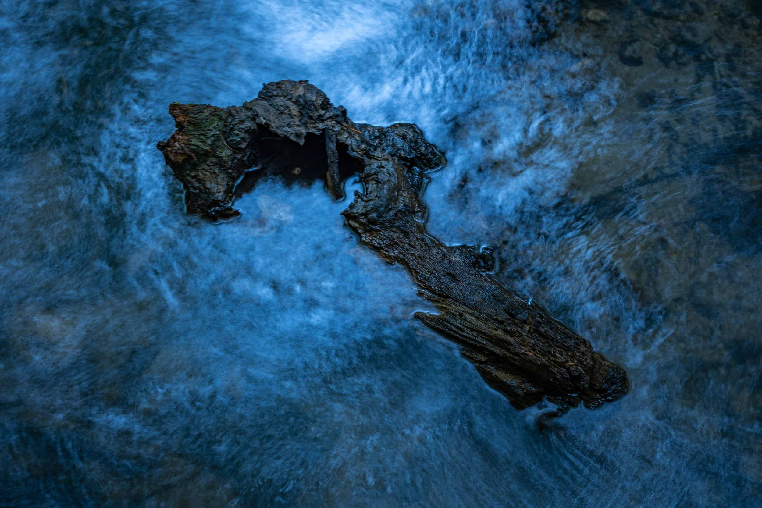 R6II6966.jpg