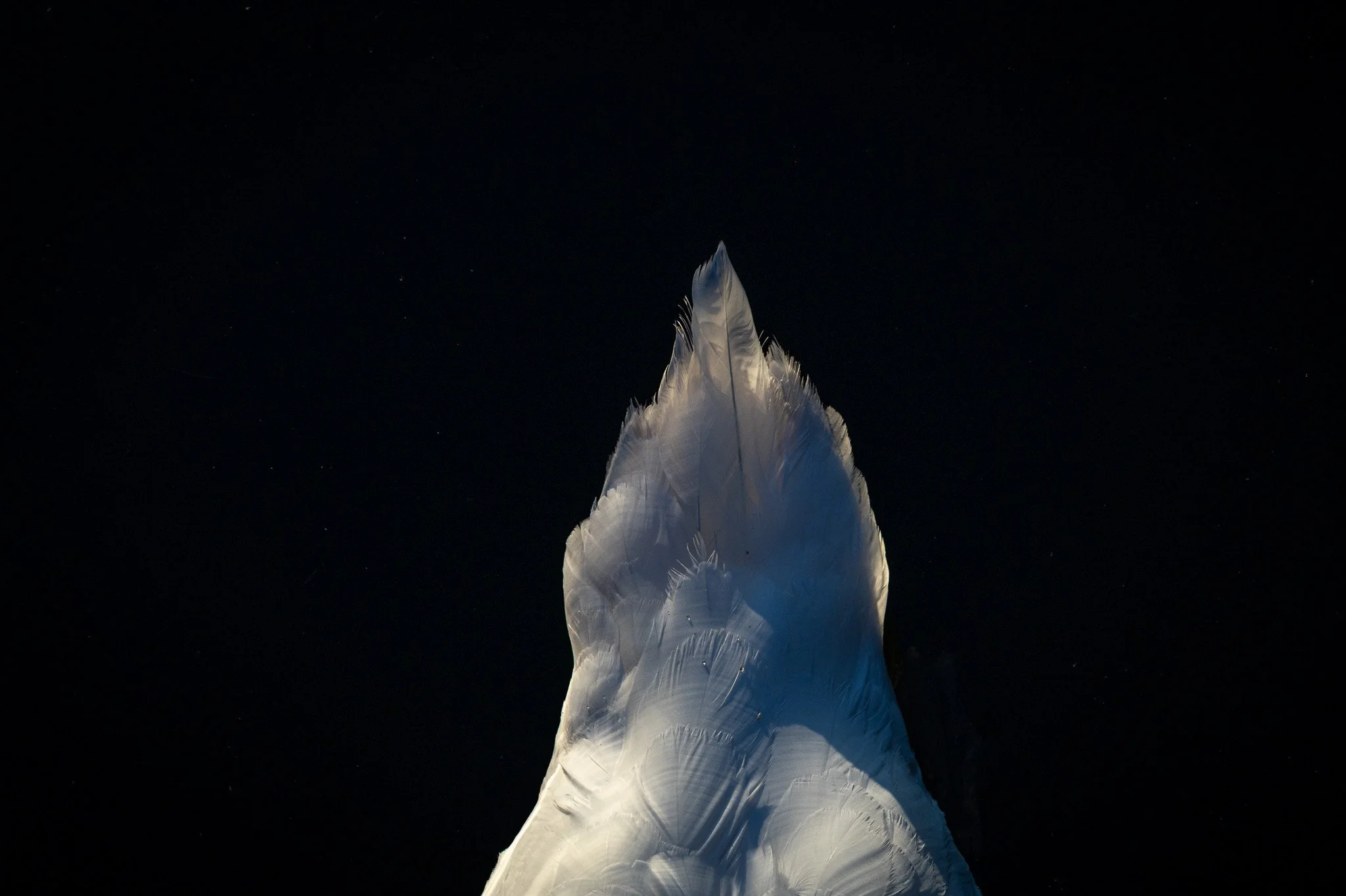 R6II5897.jpg