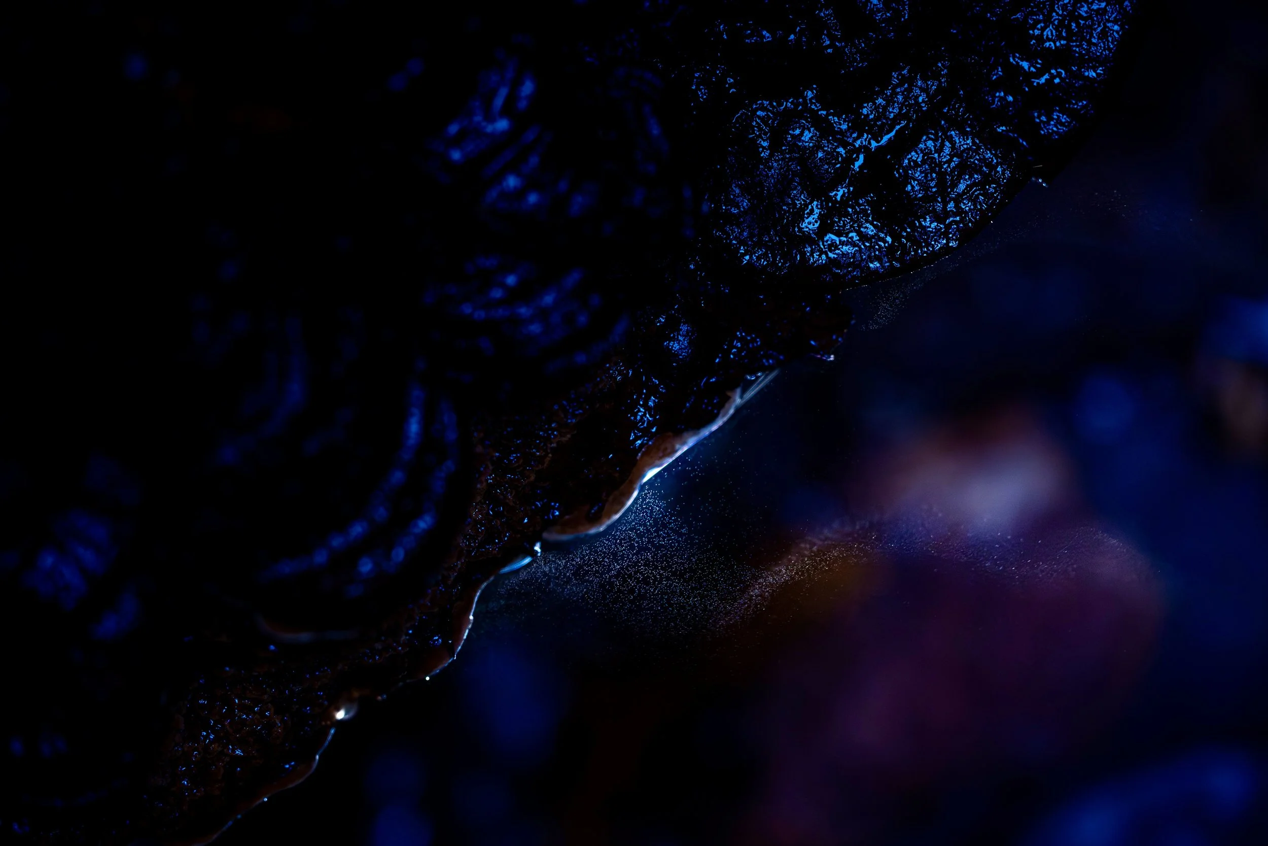 R6II9726.jpg