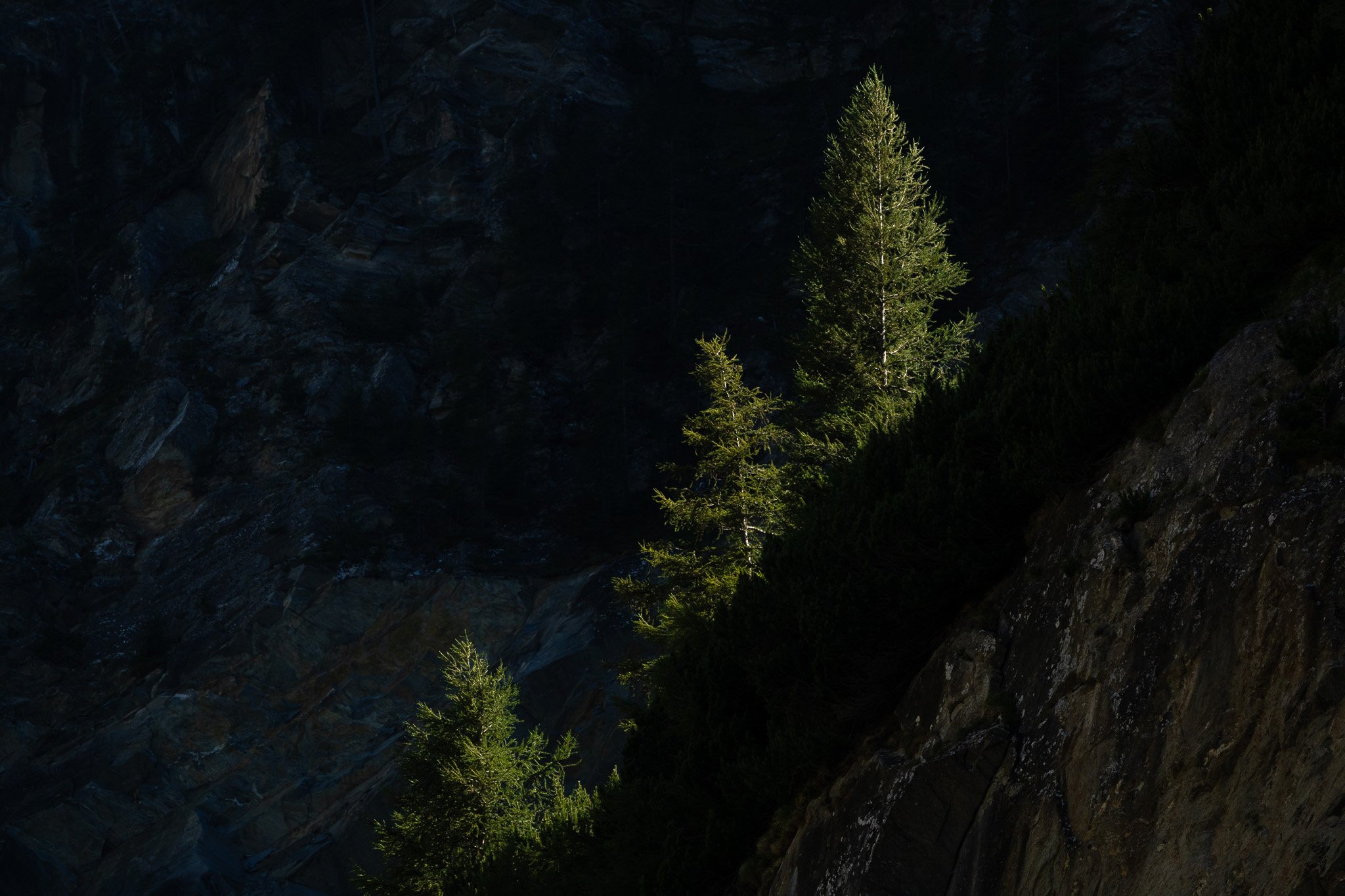 R6II9827.jpg