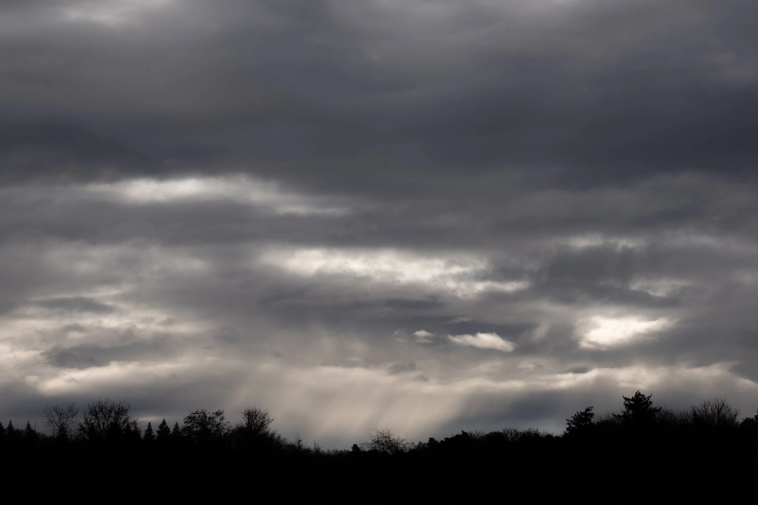 R6II7385.jpg
