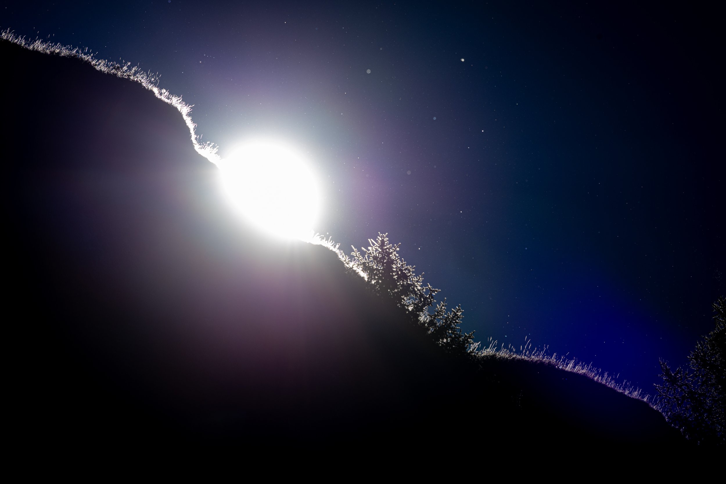 R6II4700.jpg