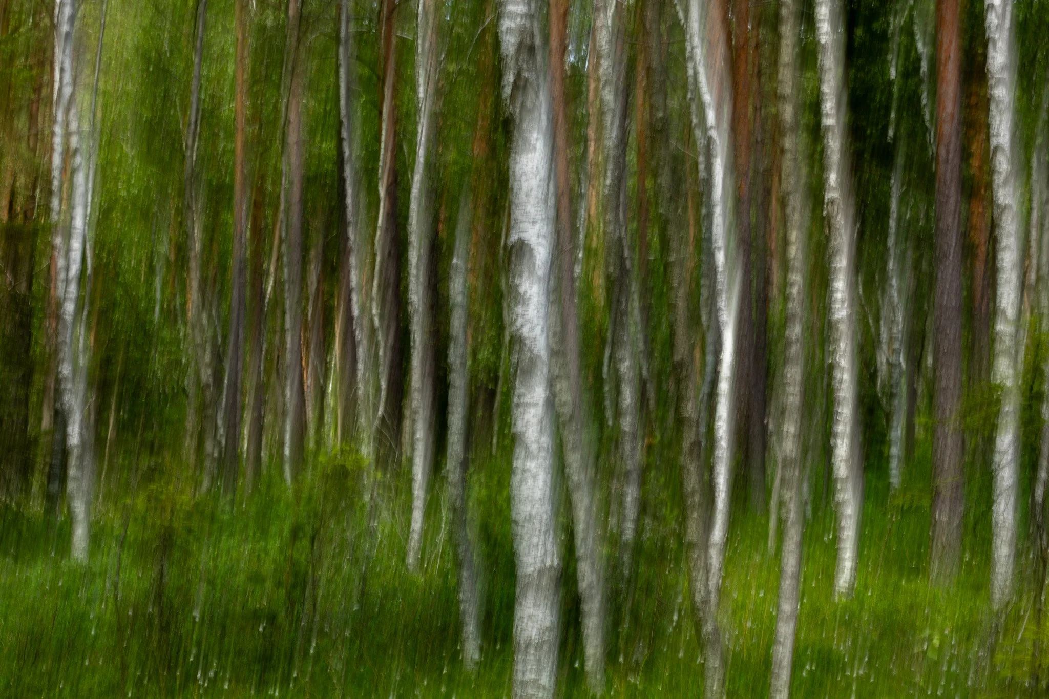 R6II5338.jpg