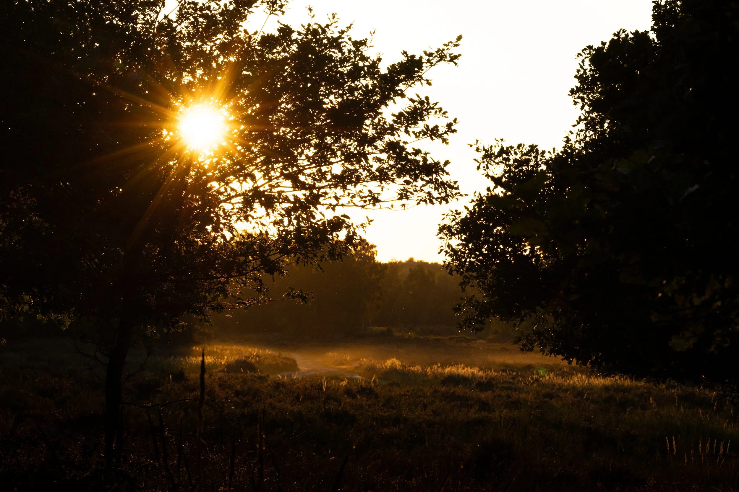 R6II0932.jpg