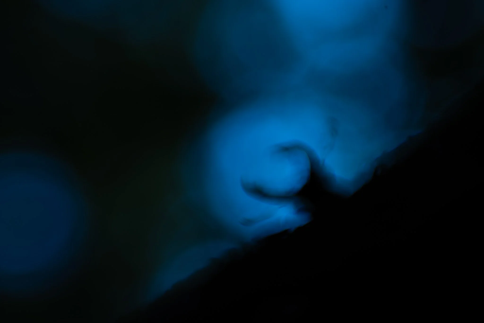 R6II7031.jpg