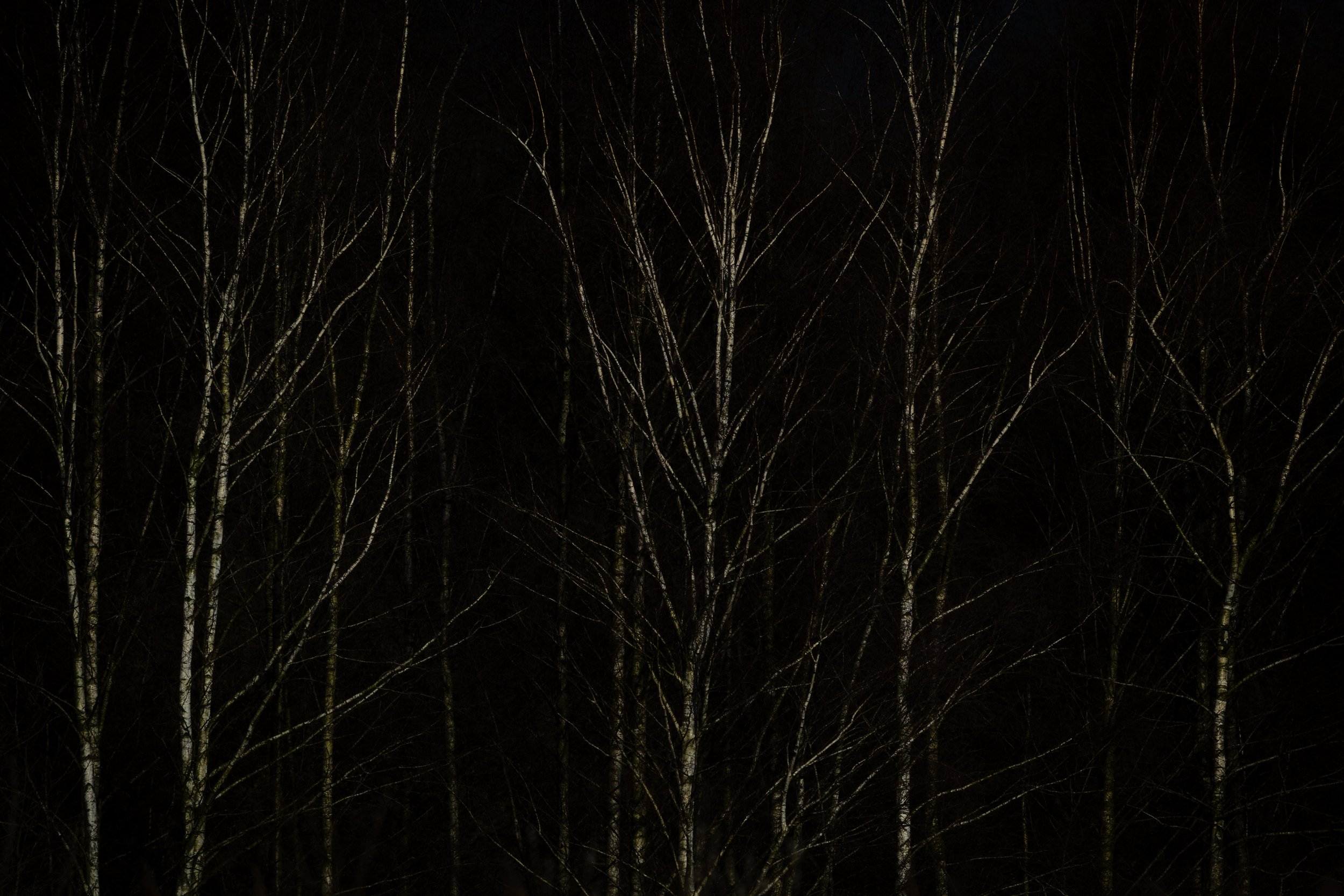 R6II4527.jpg